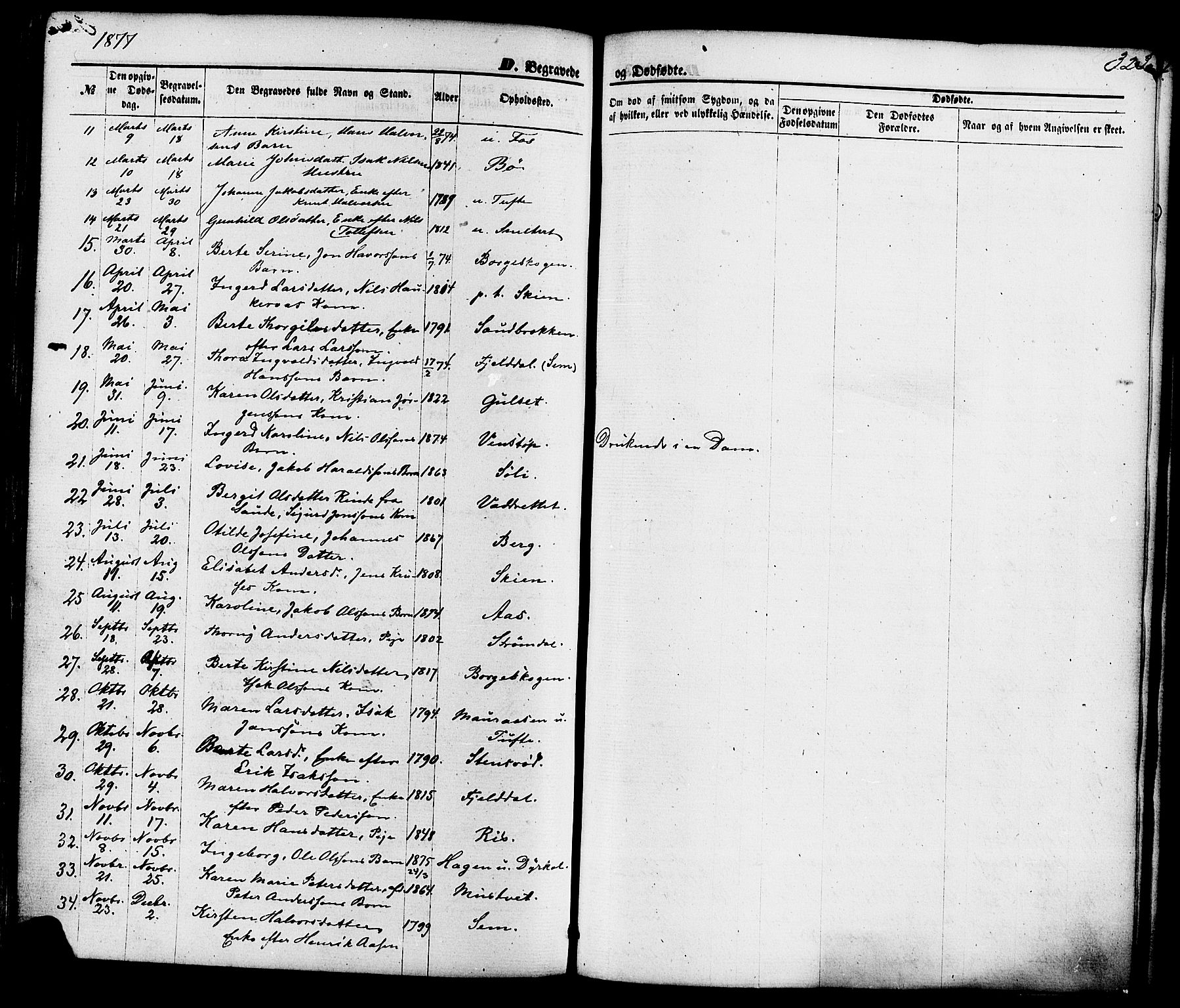 Gjerpen kirkebøker, SAKO/A-265/F/Fa/L0009: Parish register (official) no. I 9, 1872-1885, p. 323