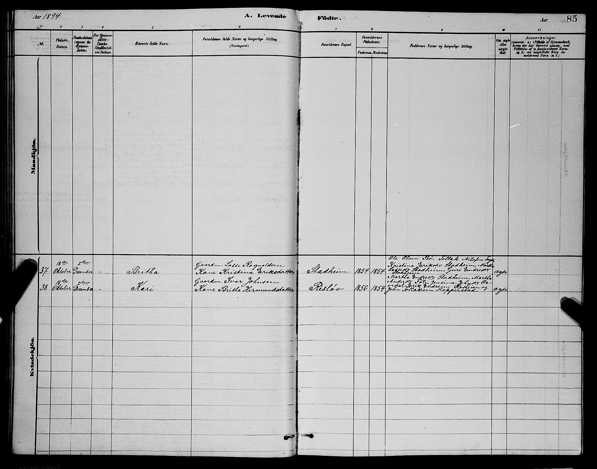 Vik sokneprestembete, SAB/A-81501: Parish register (copy) no. A 3, 1878-1894, p. 85
