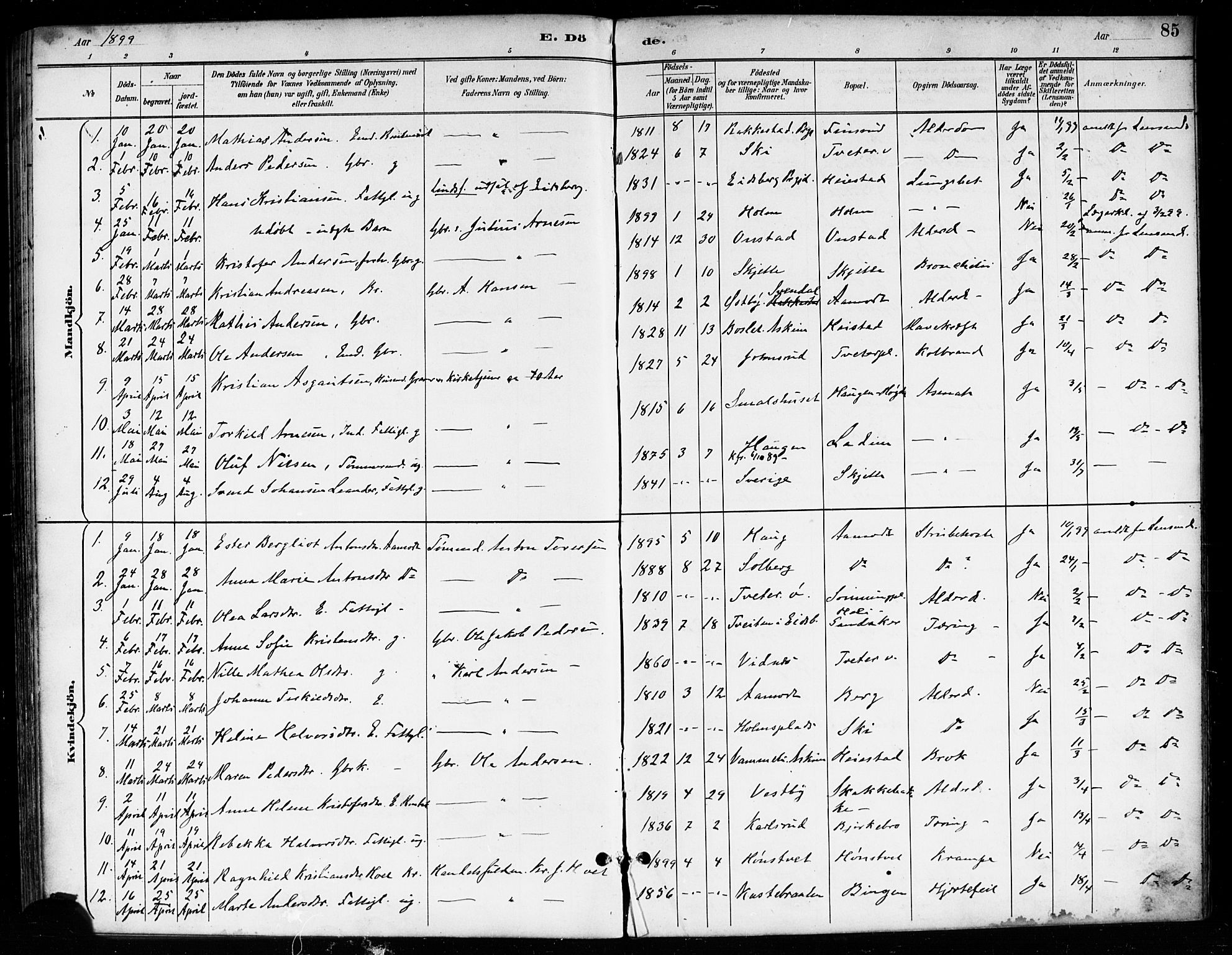 Skiptvet prestekontor Kirkebøker, SAO/A-20009/F/Fa/L0010: Parish register (official) no. 10, 1890-1900, p. 85