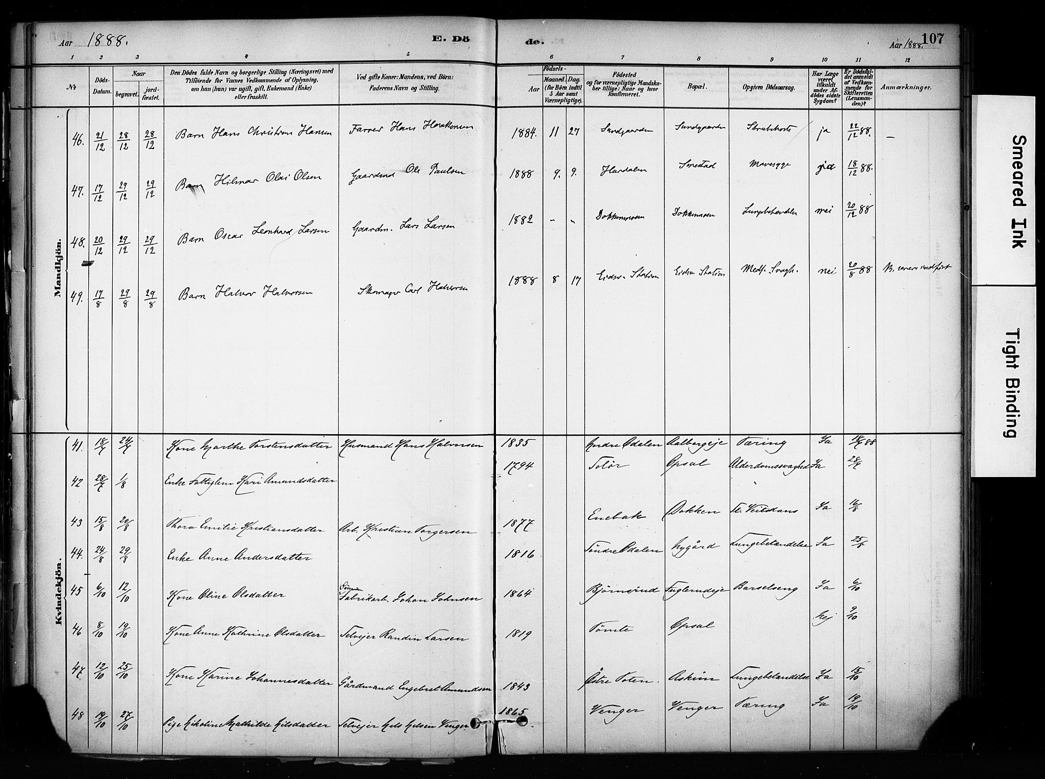 Eidsvoll prestekontor Kirkebøker, SAO/A-10888/F/Fa/L0003: Parish register (official) no. I 3, 1882-1895, p. 107