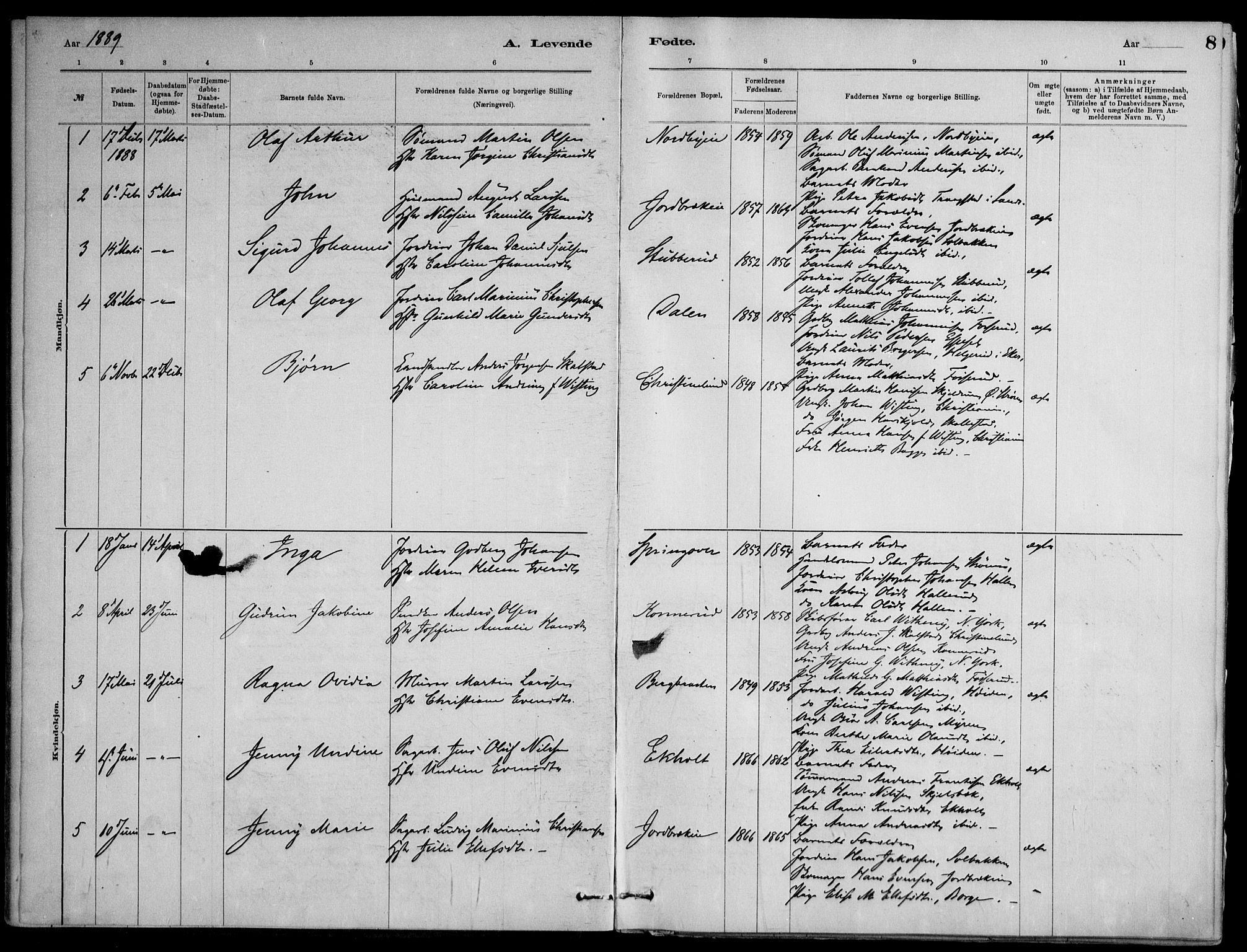 Skoger kirkebøker, SAKO/A-59/F/Fb/L0001: Parish register (official) no. II 1, 1885-1913, p. 8