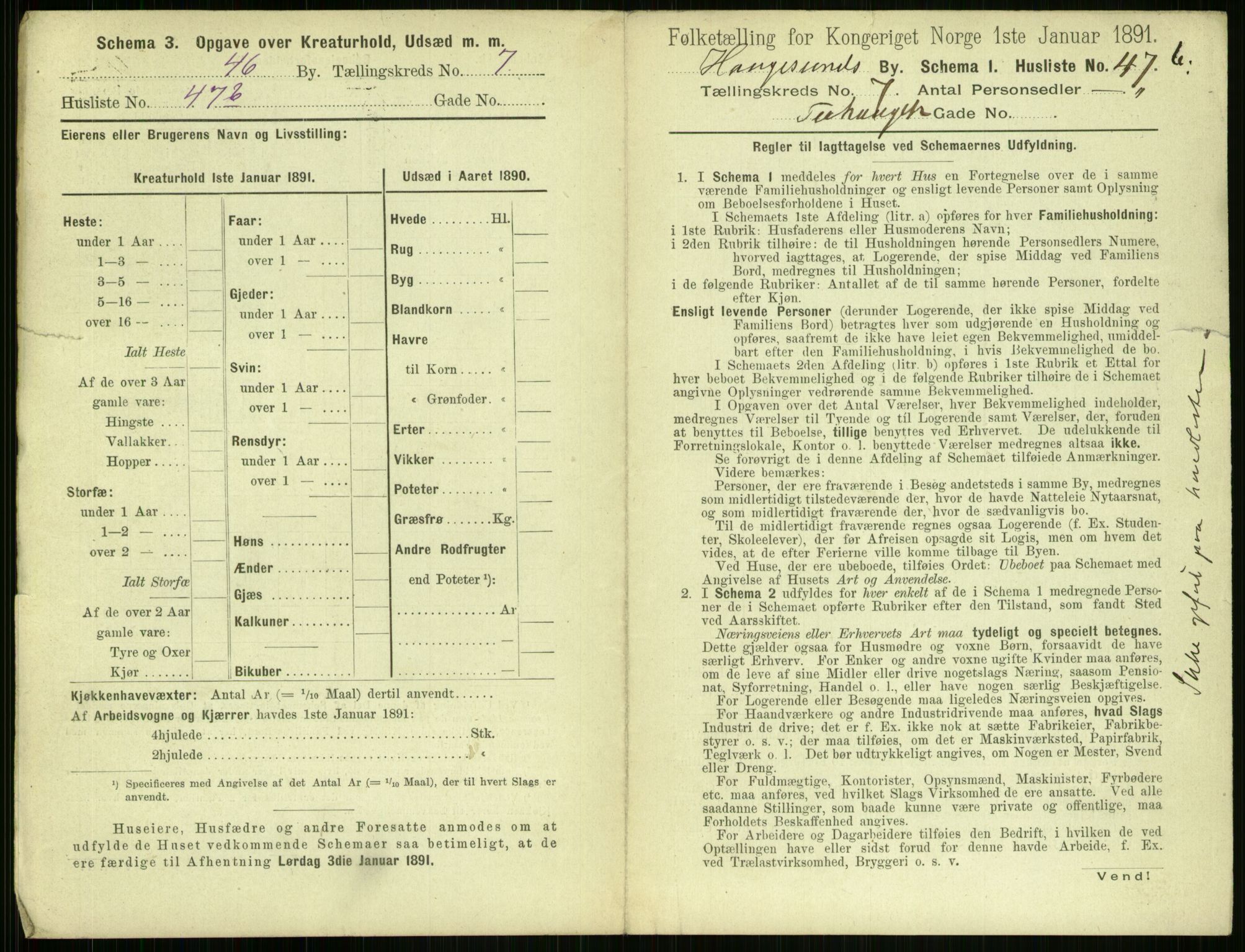 RA, 1891 census for 1106 Haugesund, 1891, p. 565