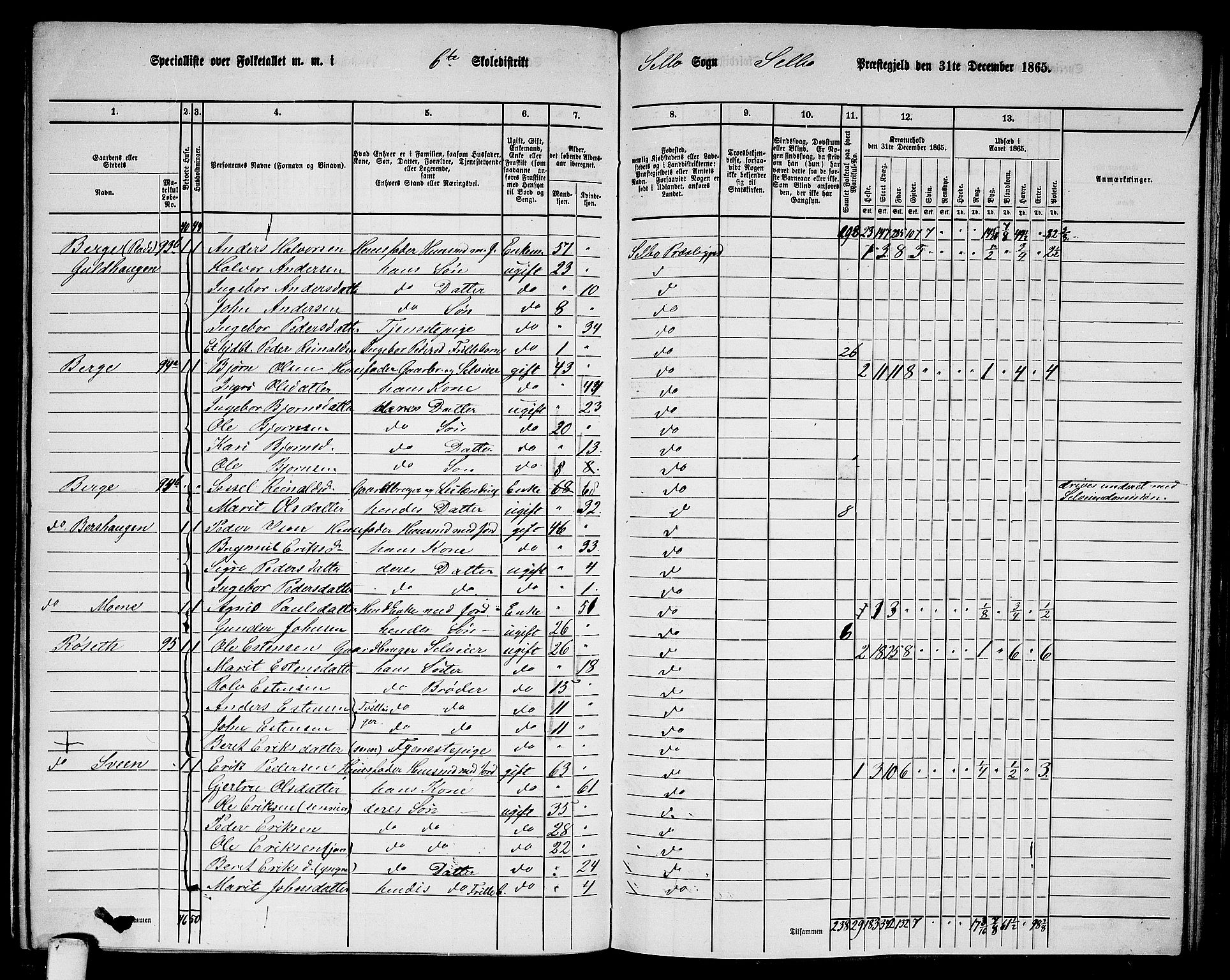 RA, 1865 census for Selbu, 1865, p. 111