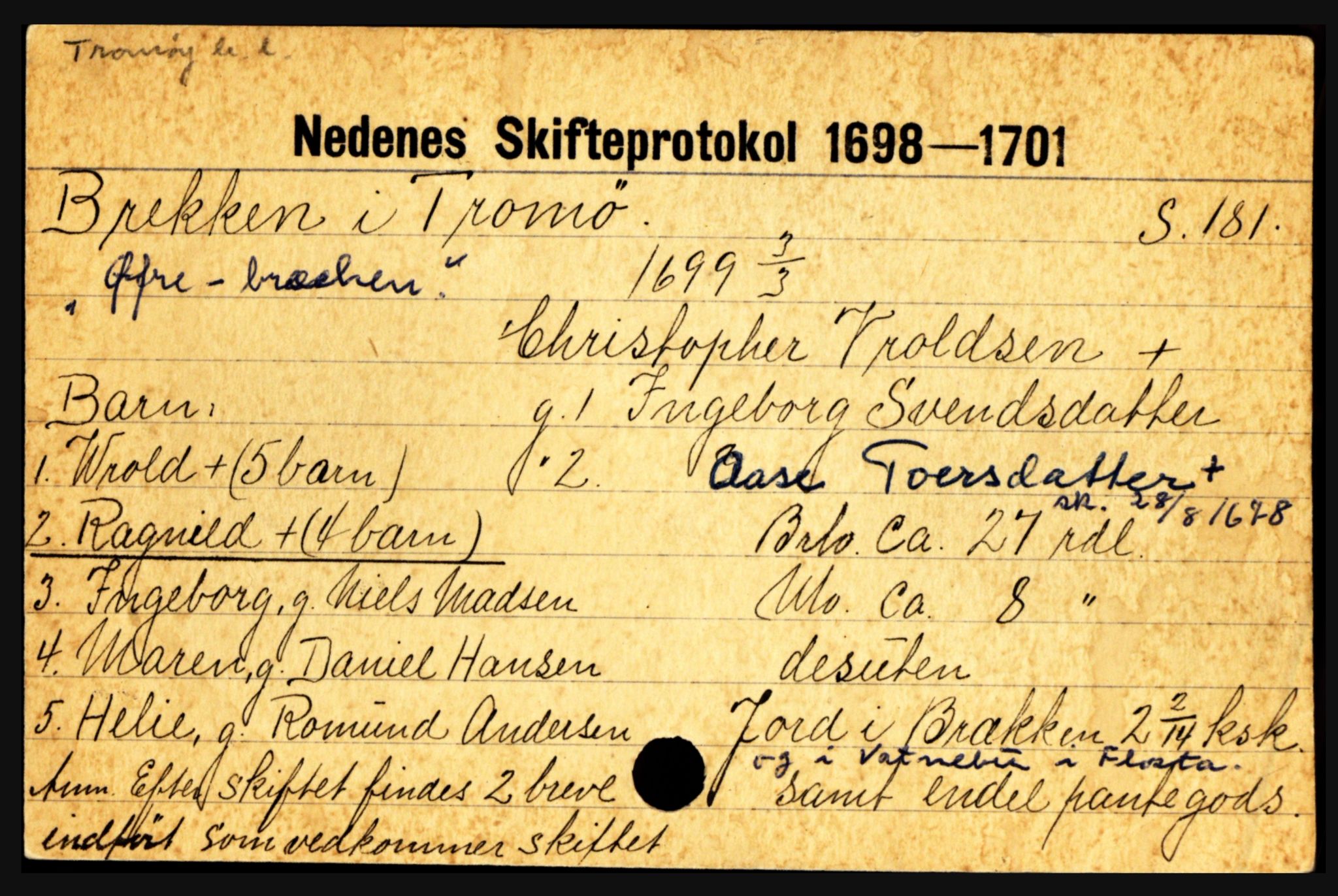 Nedenes sorenskriveri før 1824, AV/SAK-1221-0007/H, p. 3693