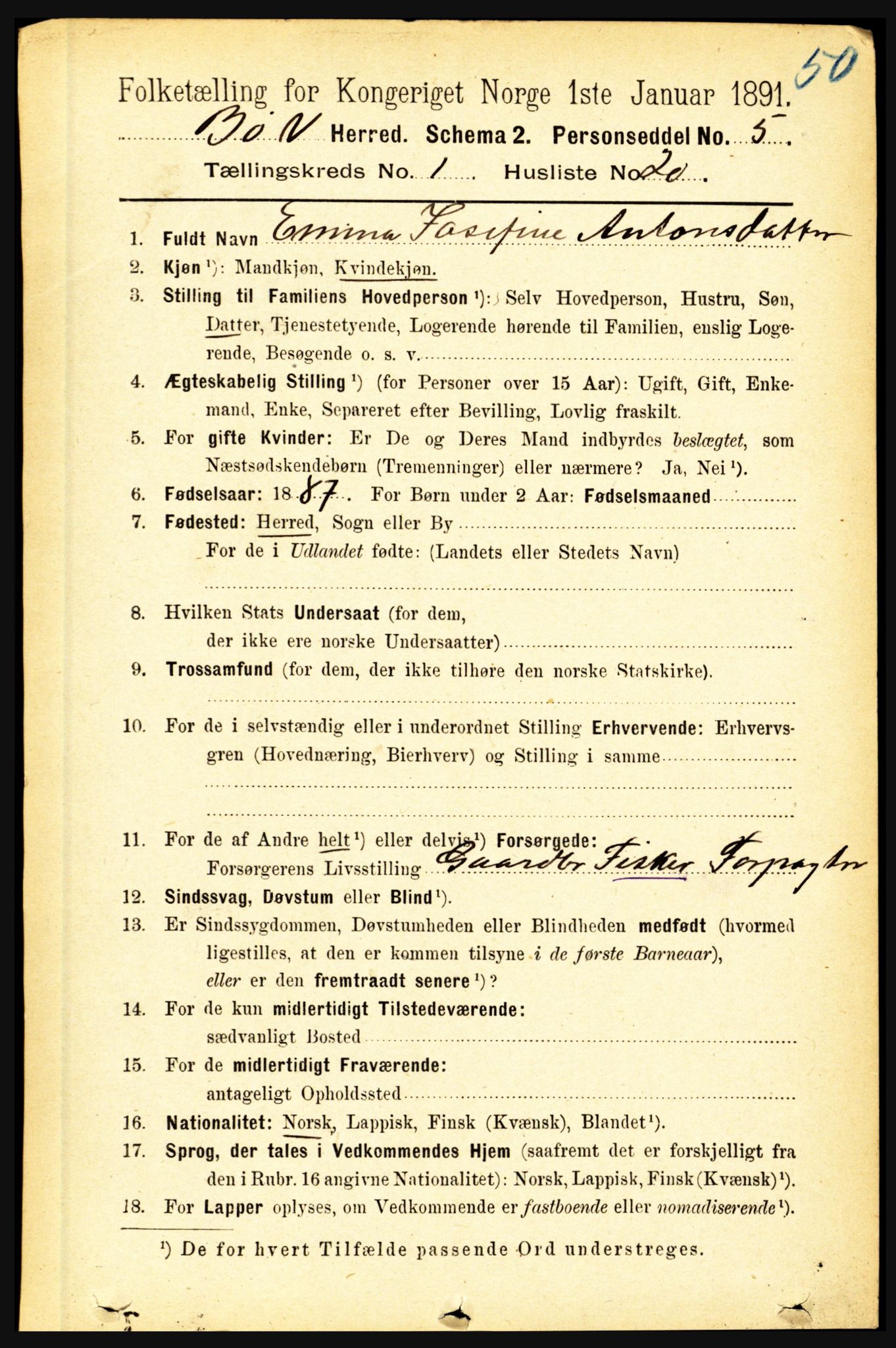 RA, 1891 census for 1867 Bø, 1891, p. 247