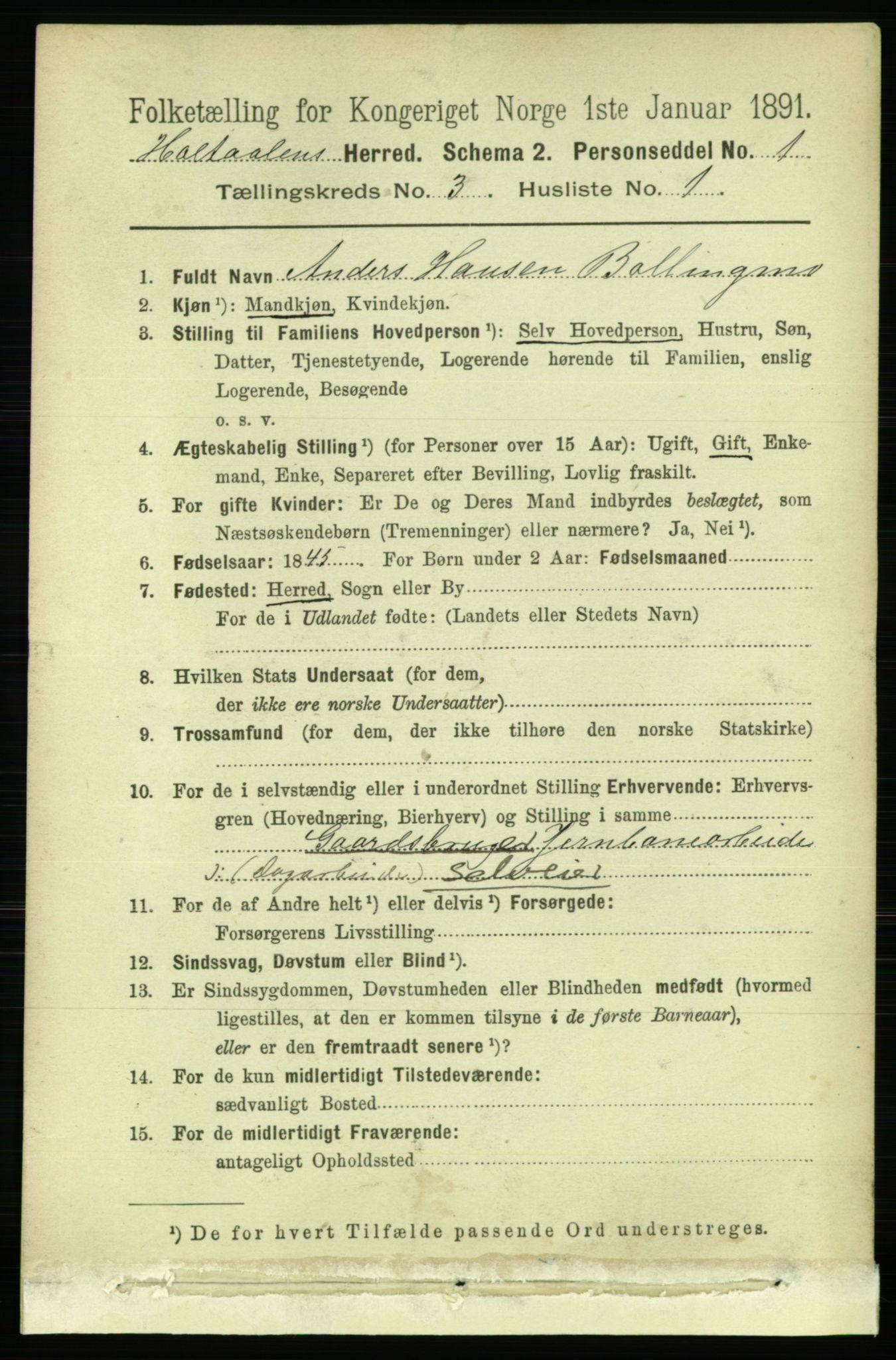 RA, 1891 census for 1645 Haltdalen, 1891, p. 838