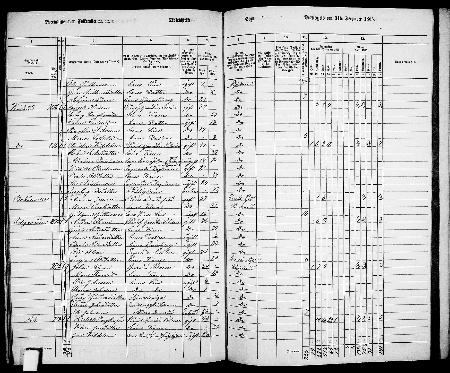 RA, 1865 census for Bjelland, 1865, p. 104