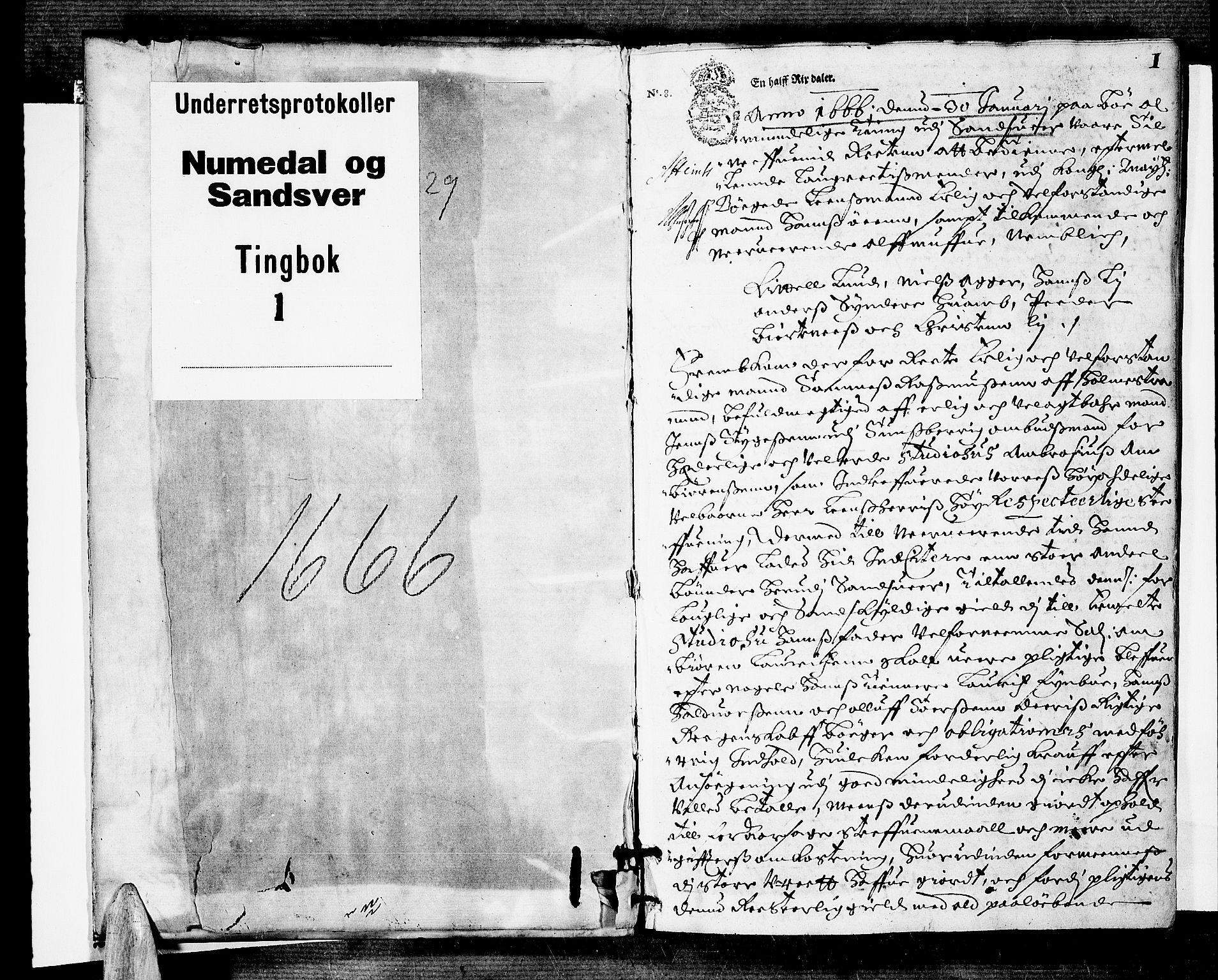 Numedal og Sandsvær sorenskriveri, AV/SAKO-A-128/F/Fa/Faa/L0001: Tingbok, 1666-1667, p. 0b-1a