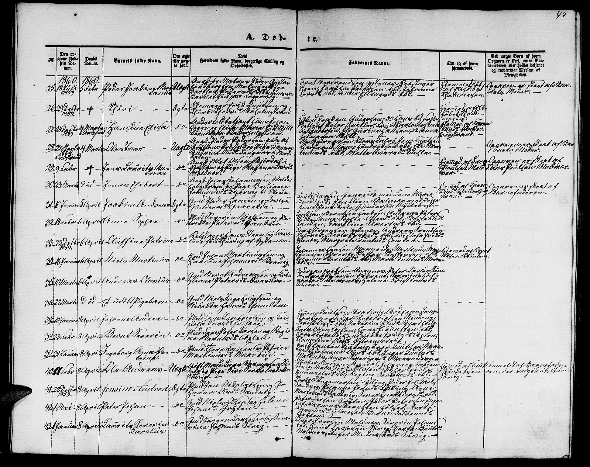 Ministerialprotokoller, klokkerbøker og fødselsregistre - Møre og Romsdal, AV/SAT-A-1454/528/L0427: Parish register (copy) no. 528C08, 1855-1864, p. 45