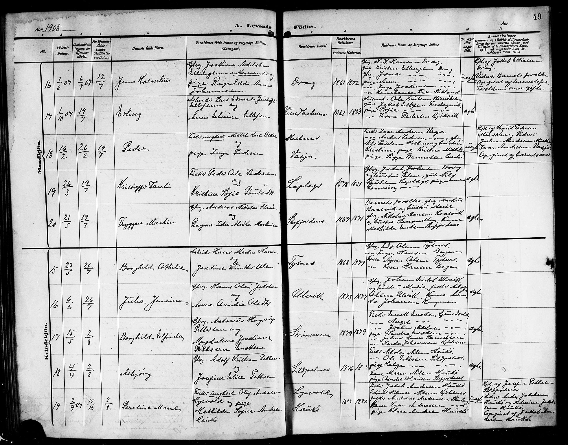 Ministerialprotokoller, klokkerbøker og fødselsregistre - Nordland, AV/SAT-A-1459/861/L0877: Parish register (copy) no. 861C03, 1903-1919, p. 49