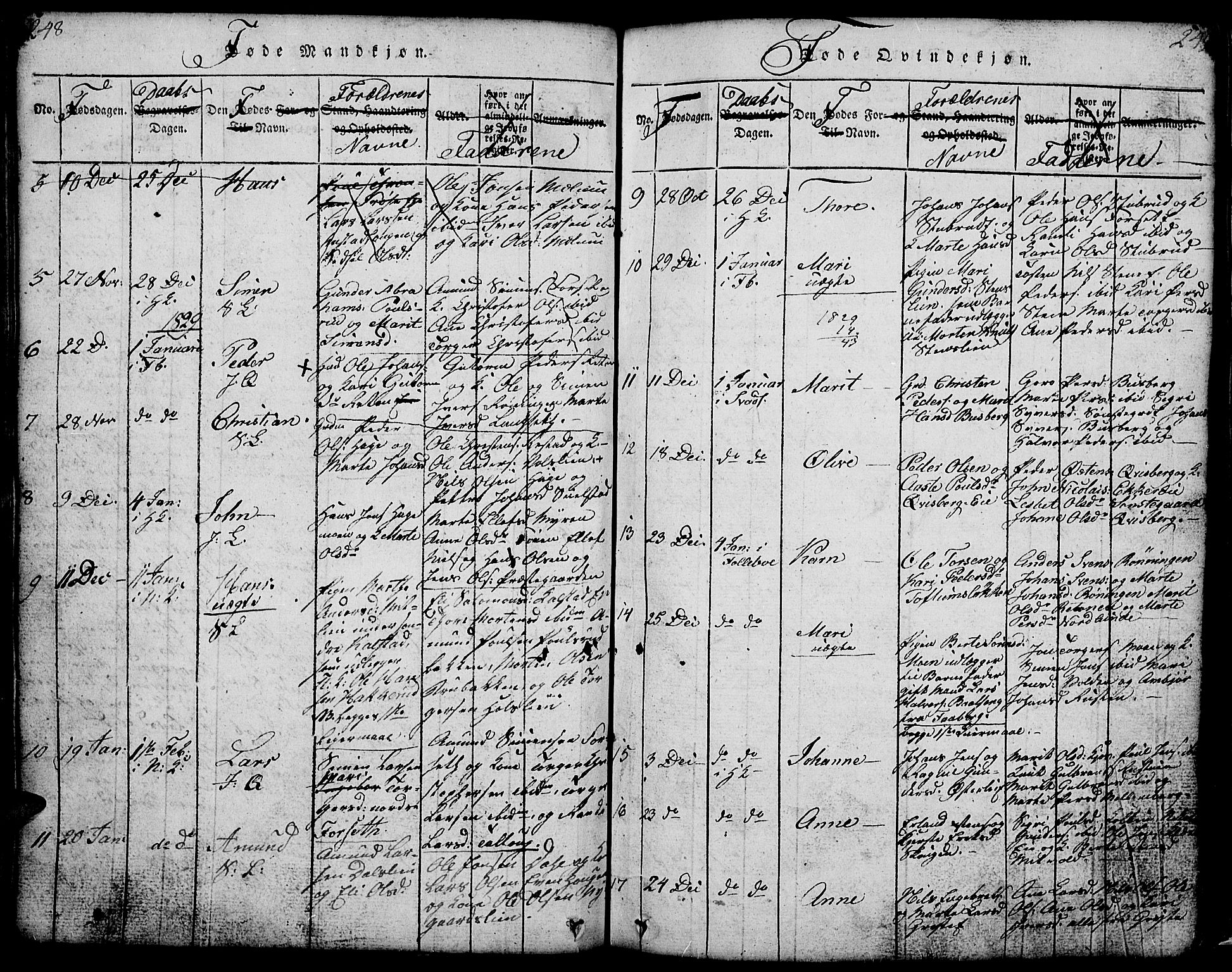 Gausdal prestekontor, SAH/PREST-090/H/Ha/Hab/L0001: Parish register (copy) no. 1, 1817-1848, p. 248-249
