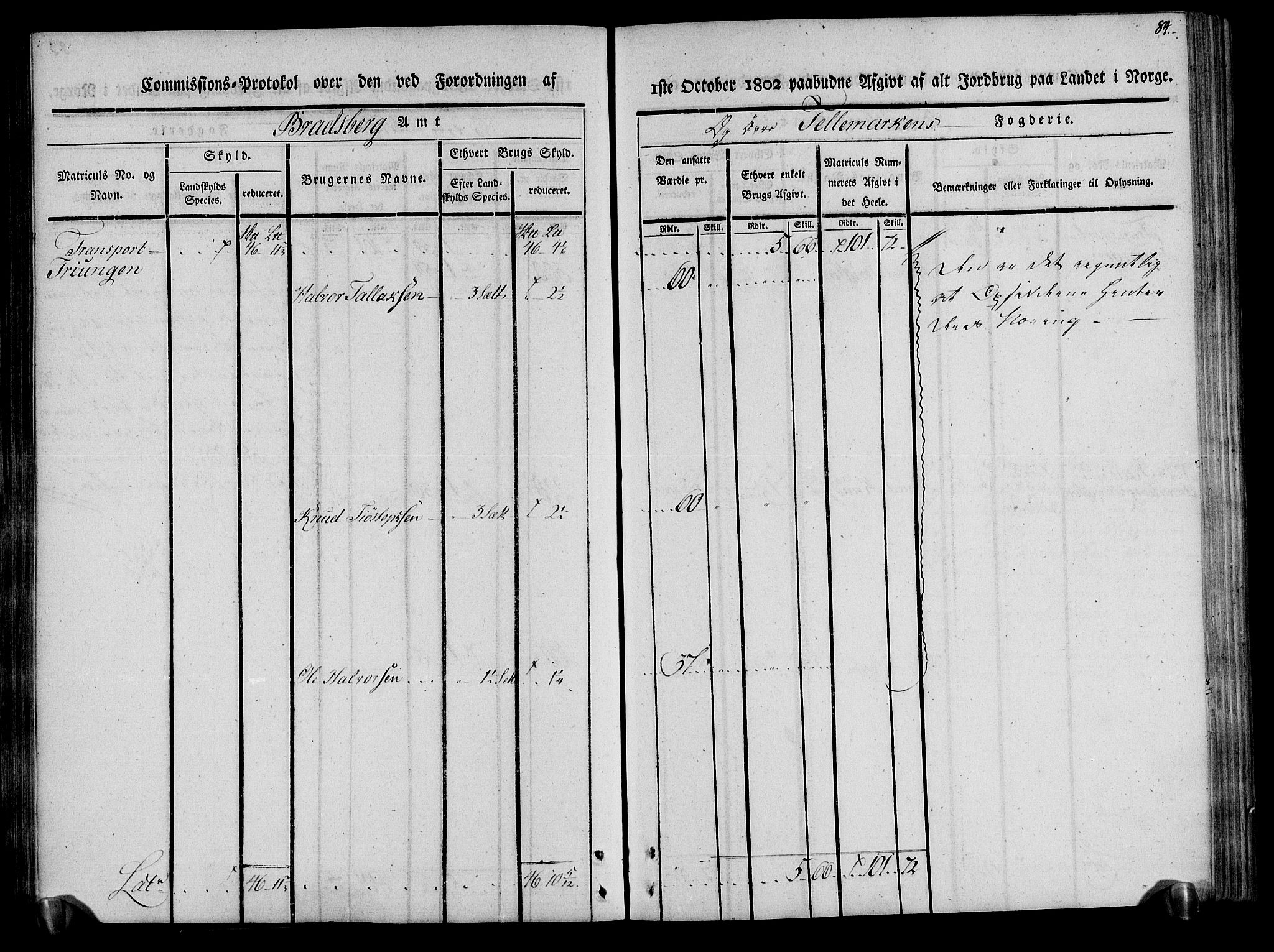 Rentekammeret inntil 1814, Realistisk ordnet avdeling, AV/RA-EA-4070/N/Ne/Nea/L0075: Øvre Telemarken fogderi. Kommisjonsprotokoll for fogderiets vestre del - Kviteseid, Vinje, Moland [):Fyresdal] og Lårdal prestegjeld., 1803, p. 84