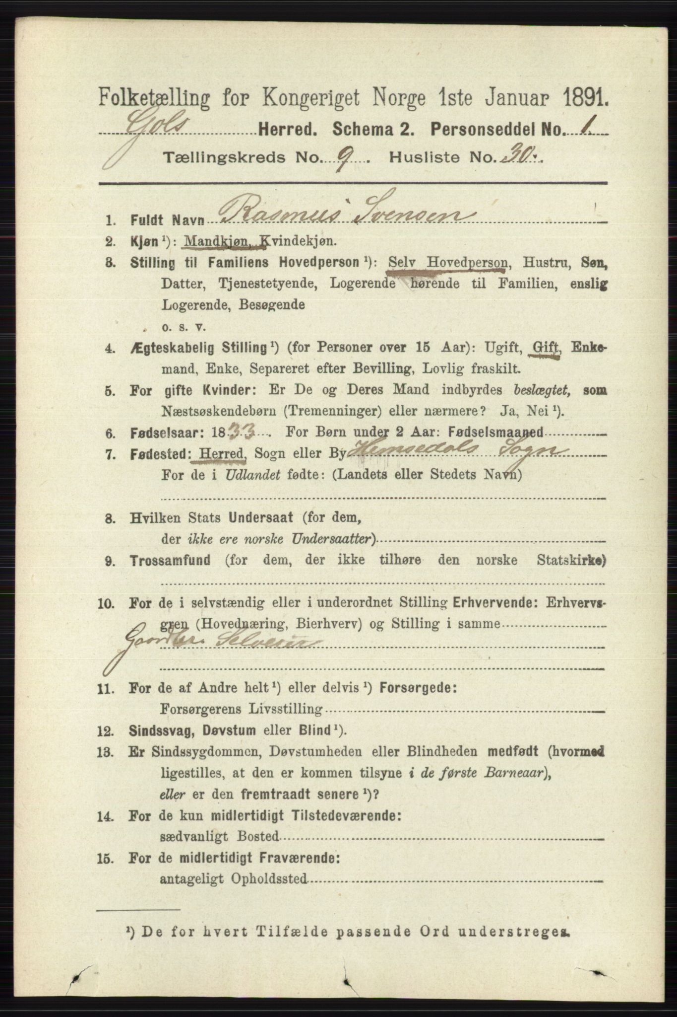 RA, 1891 census for 0617 Gol og Hemsedal, 1891, p. 3566