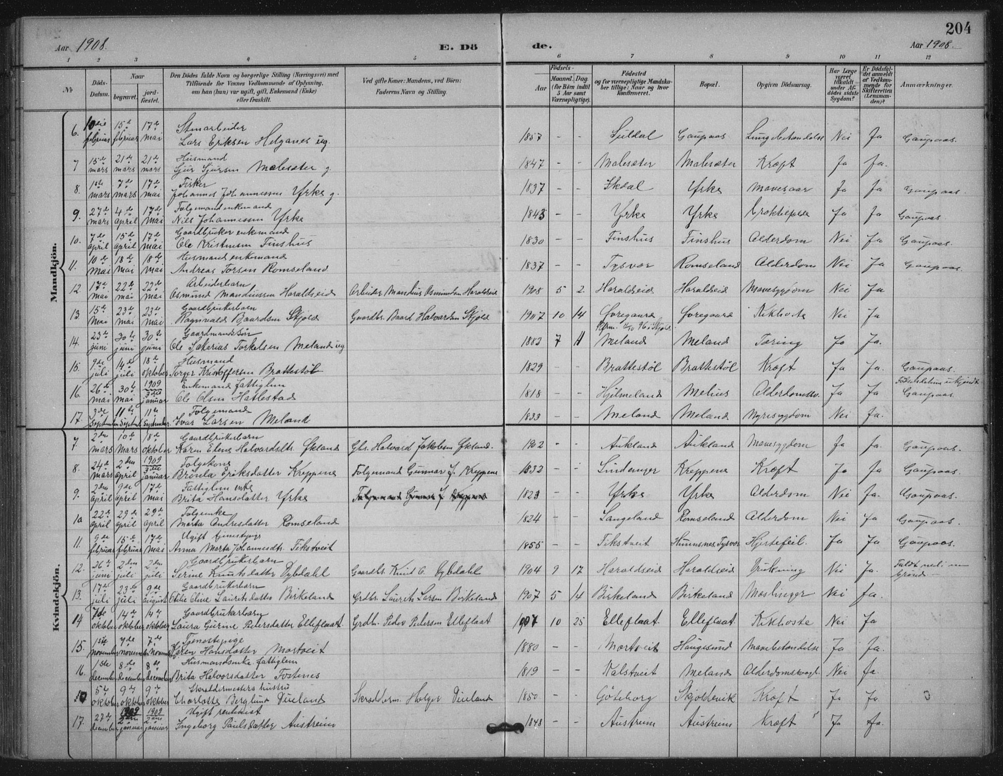 Skjold sokneprestkontor, AV/SAST-A-101847/H/Ha/Haa/L0011: Parish register (official) no. A 11, 1897-1914, p. 204