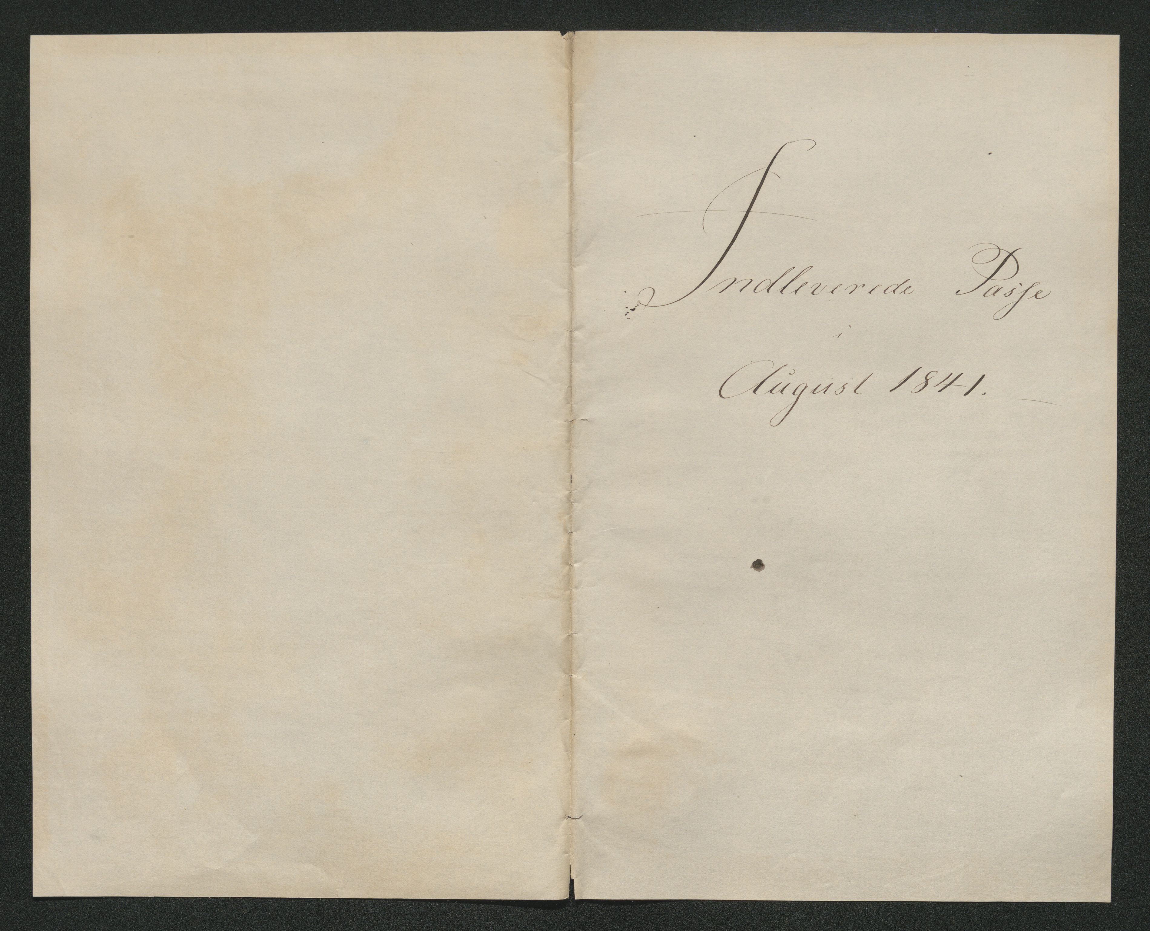 Drammen politikammer, SAKO/A-623/I/Ia/Iab/L0006: Innleverte pass, 1841-1842, p. 216