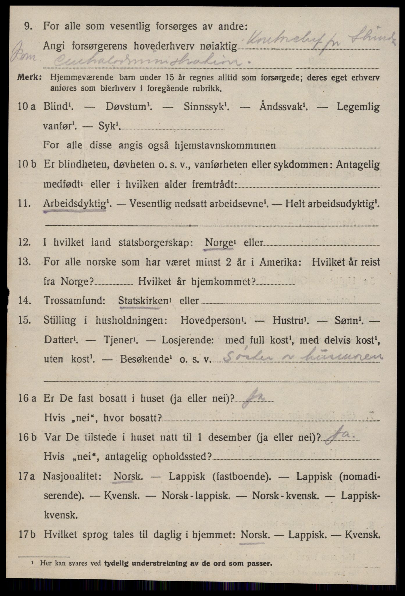 SAT, 1920 census for Strinda, 1920, p. 16911