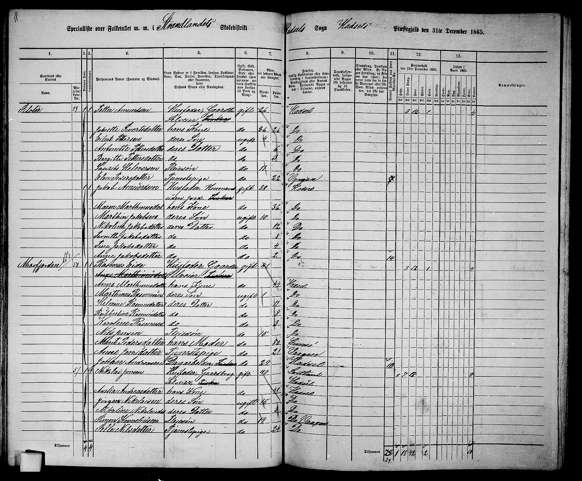 RA, 1865 census for Hadsel, 1865, p. 74