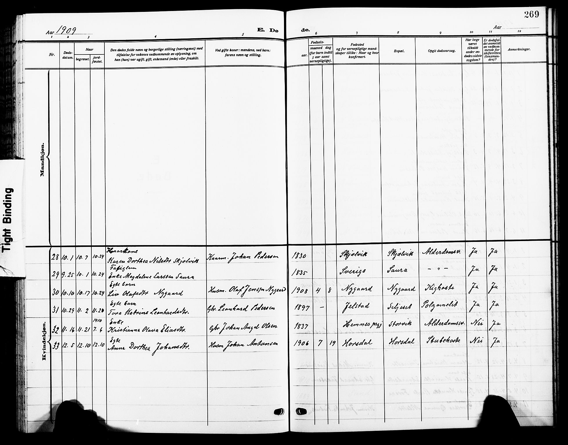 Ministerialprotokoller, klokkerbøker og fødselsregistre - Nordland, AV/SAT-A-1459/805/L0110: Parish register (copy) no. 805C06, 1909-1924, p. 269