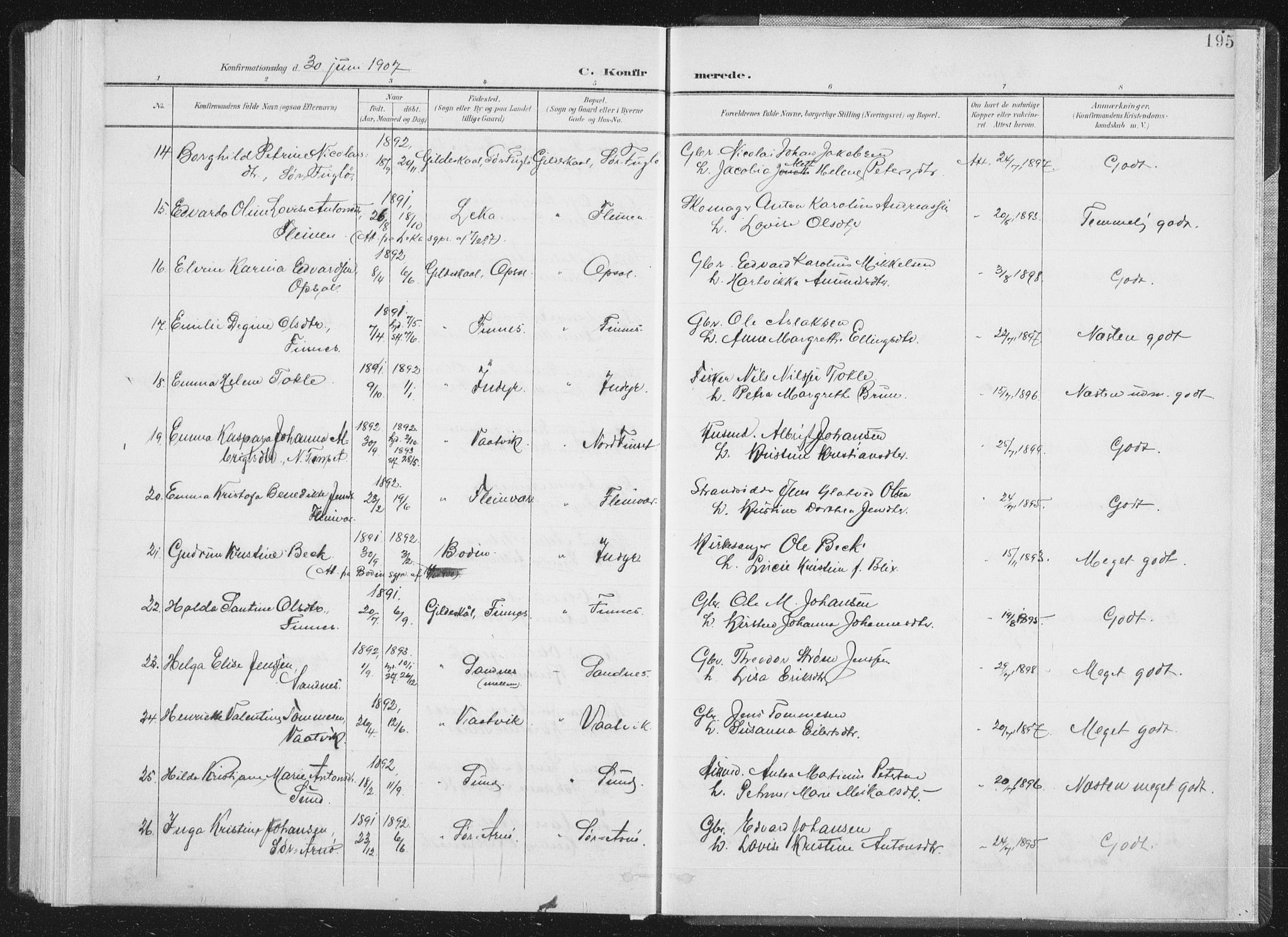 Ministerialprotokoller, klokkerbøker og fødselsregistre - Nordland, AV/SAT-A-1459/805/L0102: Parish register (official) no. 805A08I, 1900-1909, p. 195