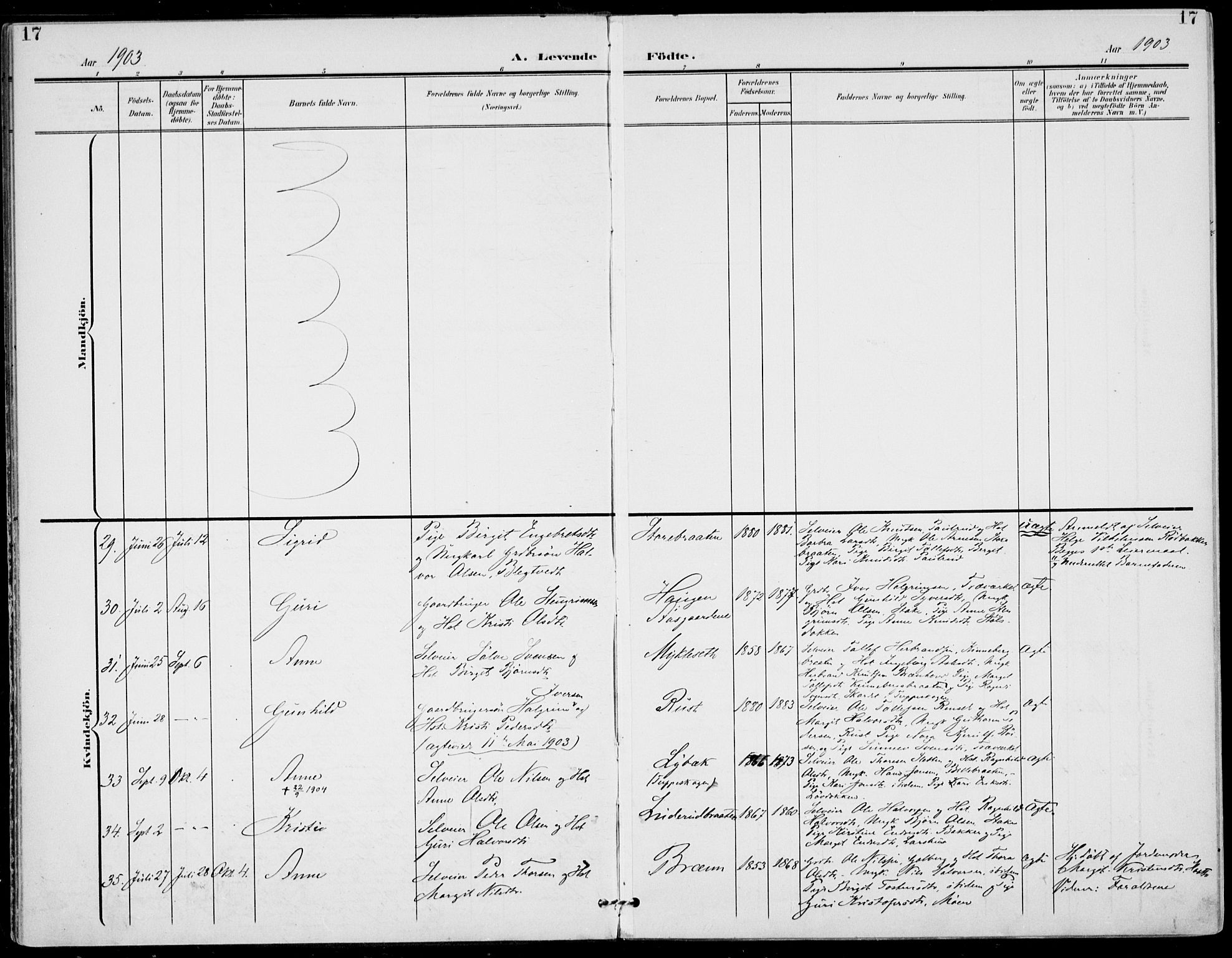 Gol kirkebøker, AV/SAKO-A-226/F/Fa/L0006: Parish register (official) no. I 6, 1901-1918, p. 17