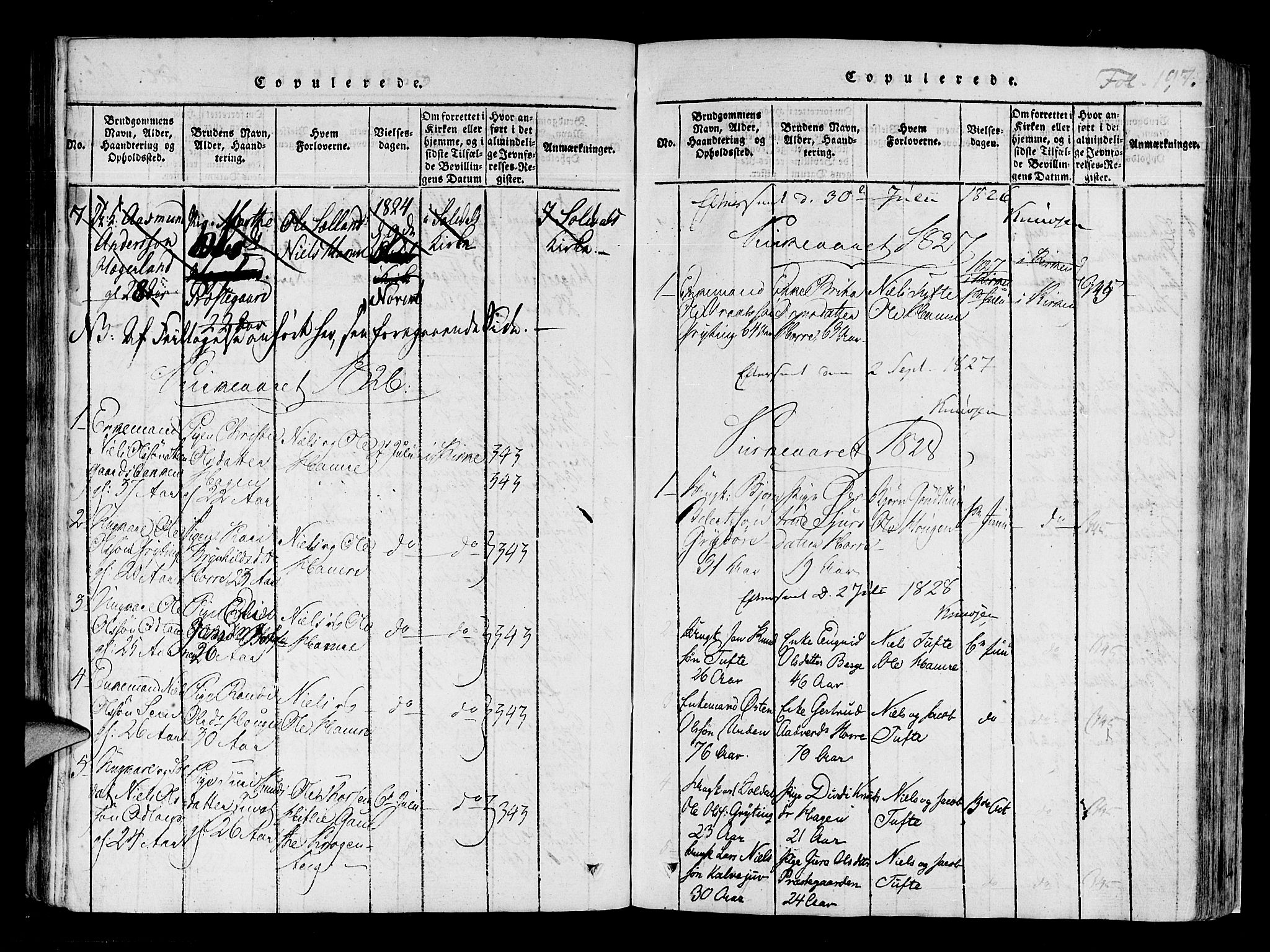 Røldal sokneprestembete, SAB/A-100247: Parish register (official) no. A 2, 1817-1856, p. 197