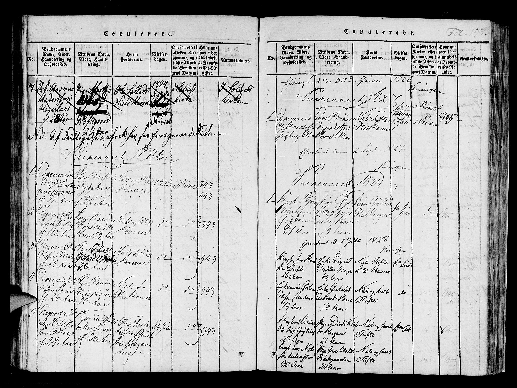 Røldal sokneprestembete, AV/SAB-A-100247: Parish register (official) no. A 2, 1817-1856, p. 197