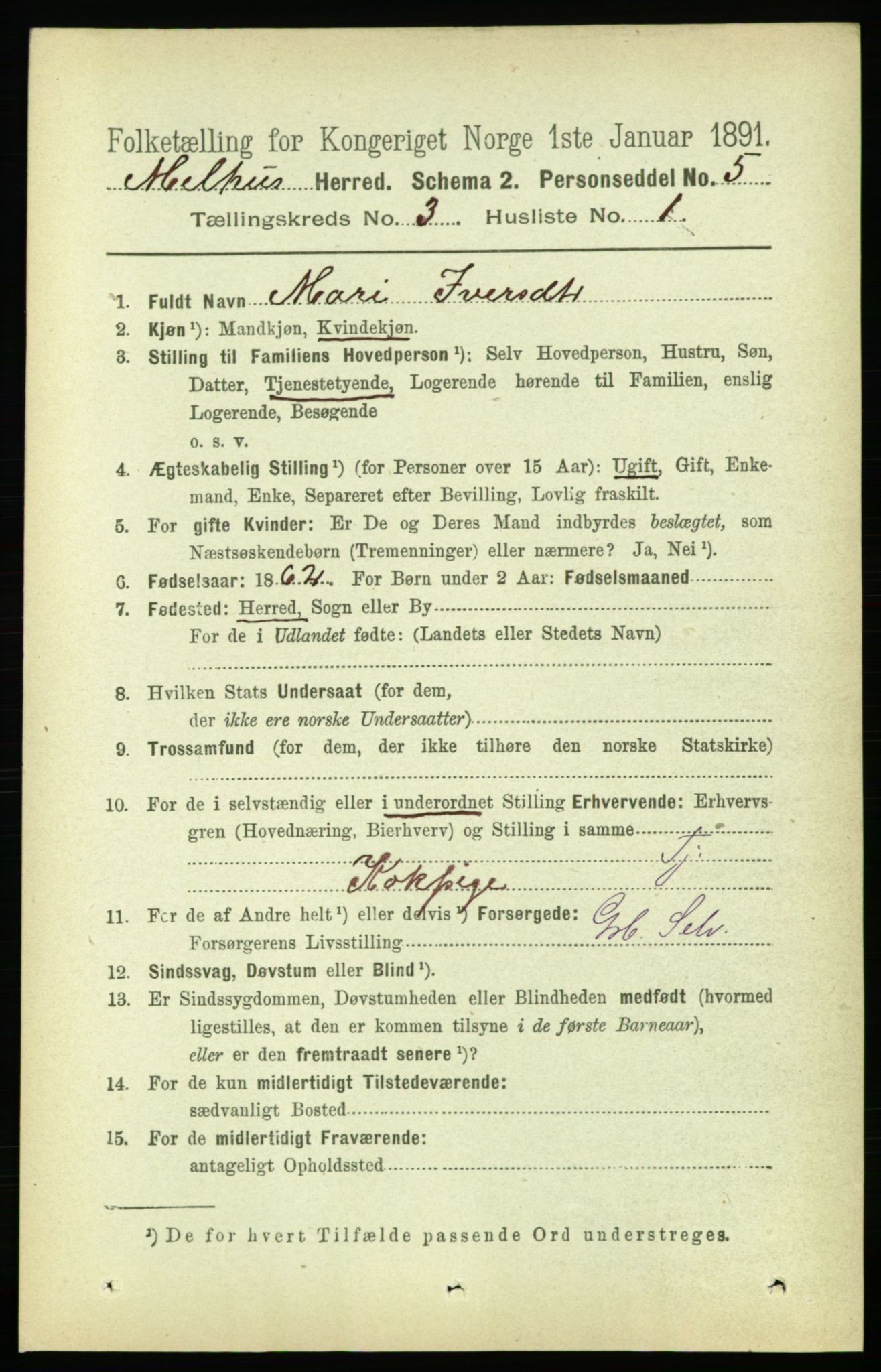 RA, 1891 census for 1653 Melhus, 1891, p. 1387