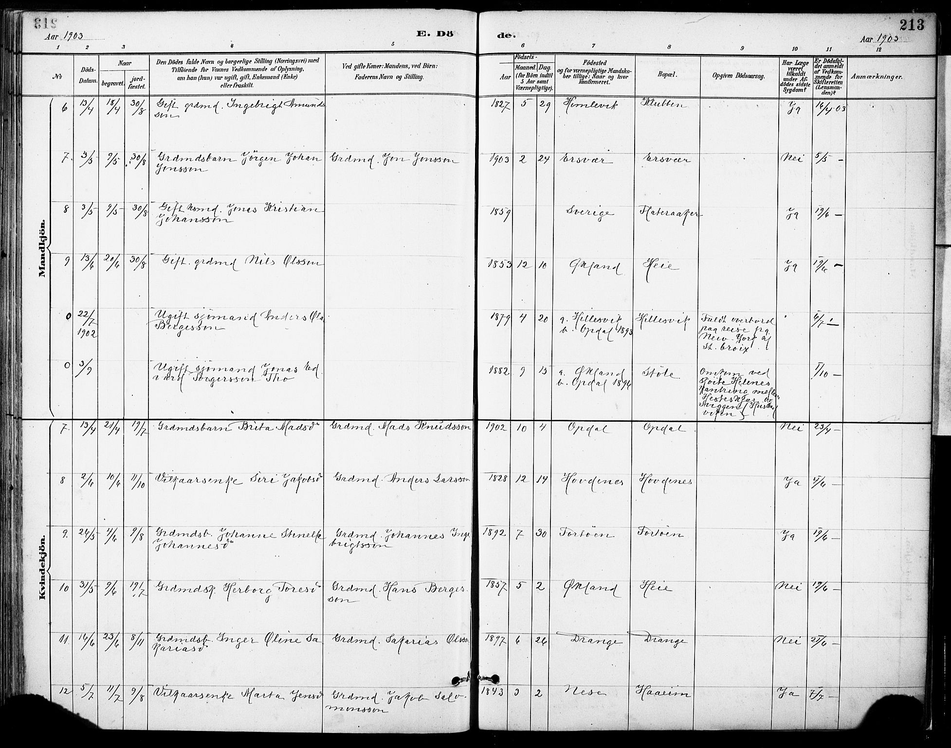 Tysnes sokneprestembete, AV/SAB-A-78601/H/Haa: Parish register (official) no. D 1, 1887-1904, p. 213