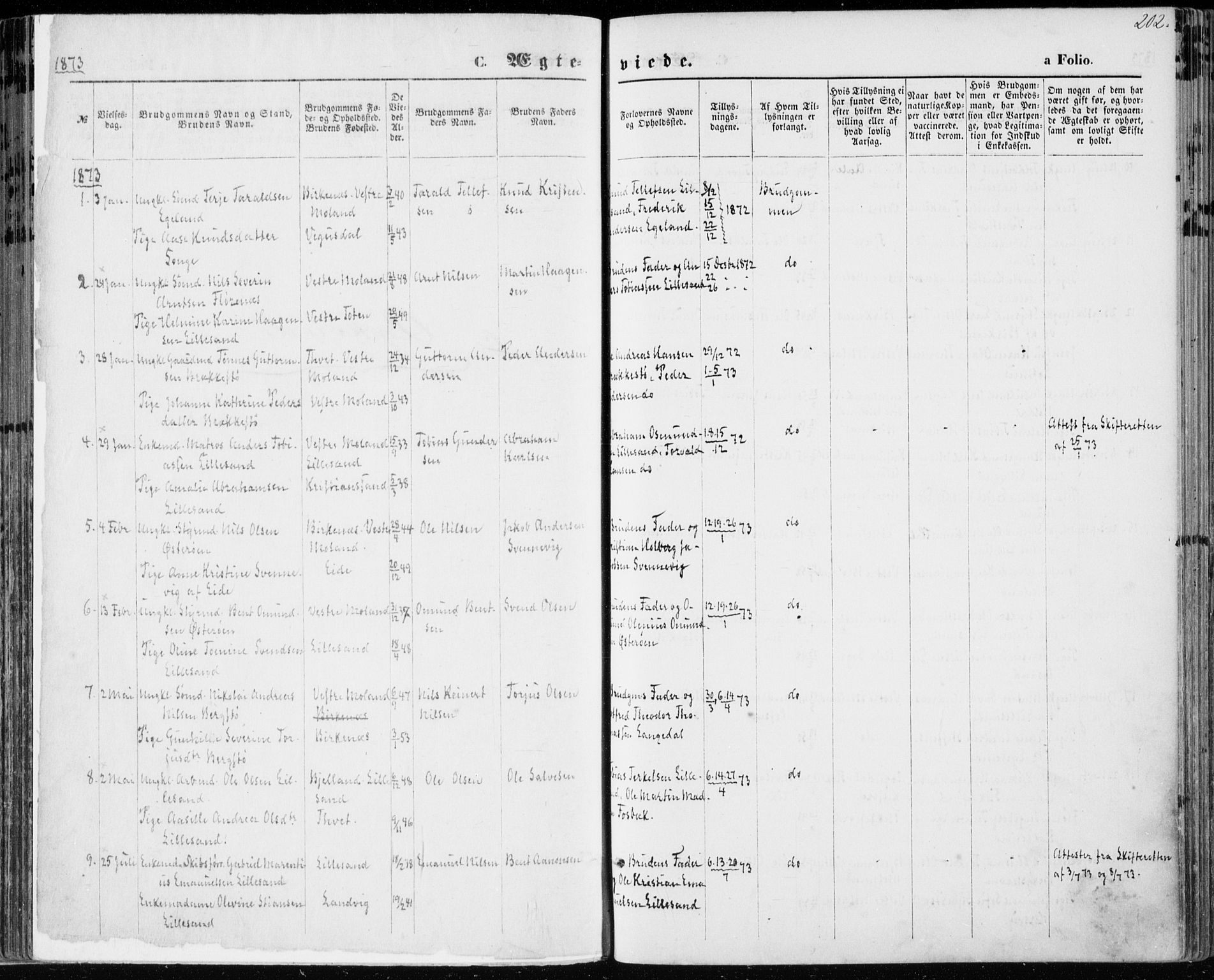 Vestre Moland sokneprestkontor, SAK/1111-0046/F/Fa/Fab/L0008: Parish register (official) no. A 8, 1873-1883, p. 202