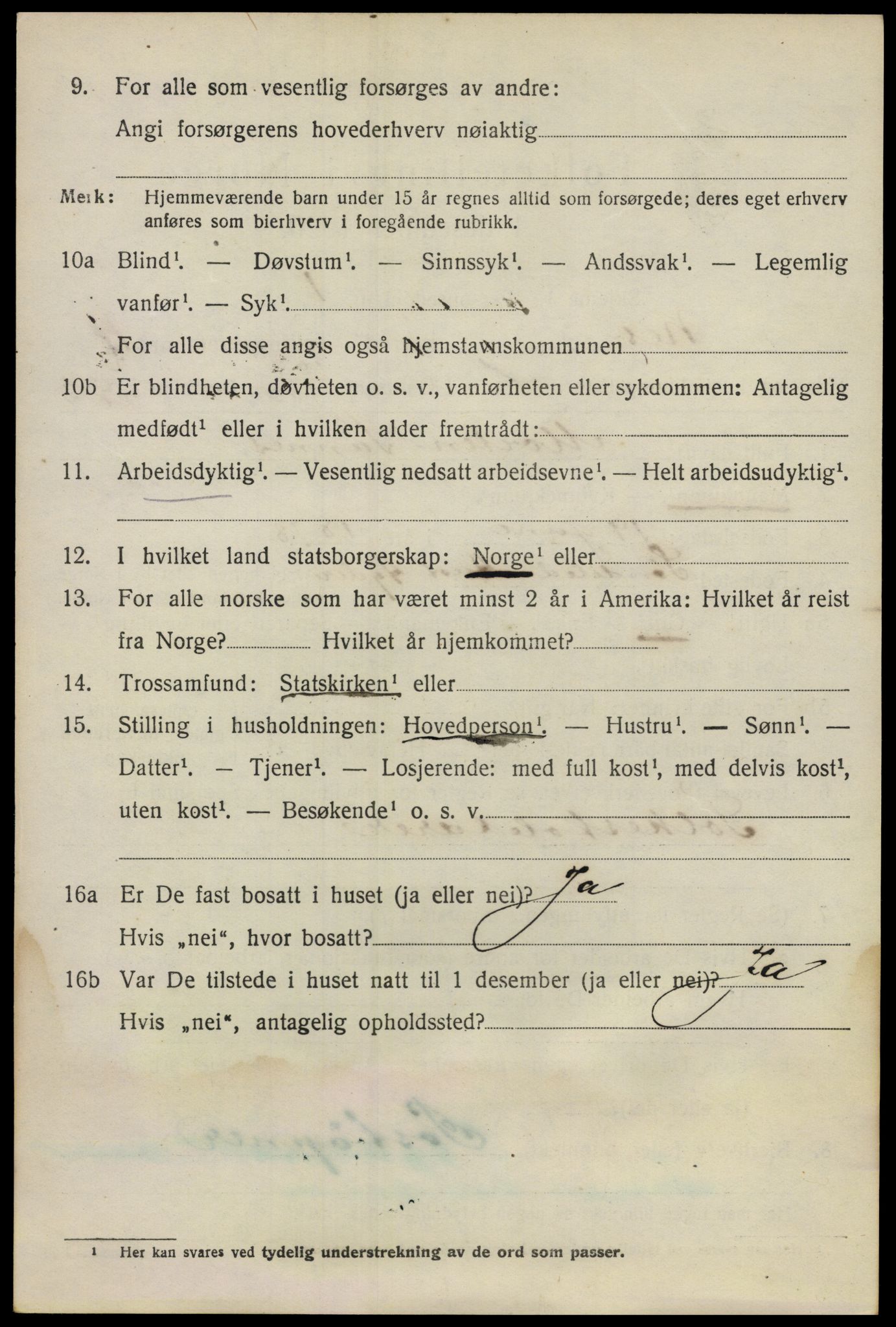 SAO, 1920 census for Nes, 1920, p. 11389