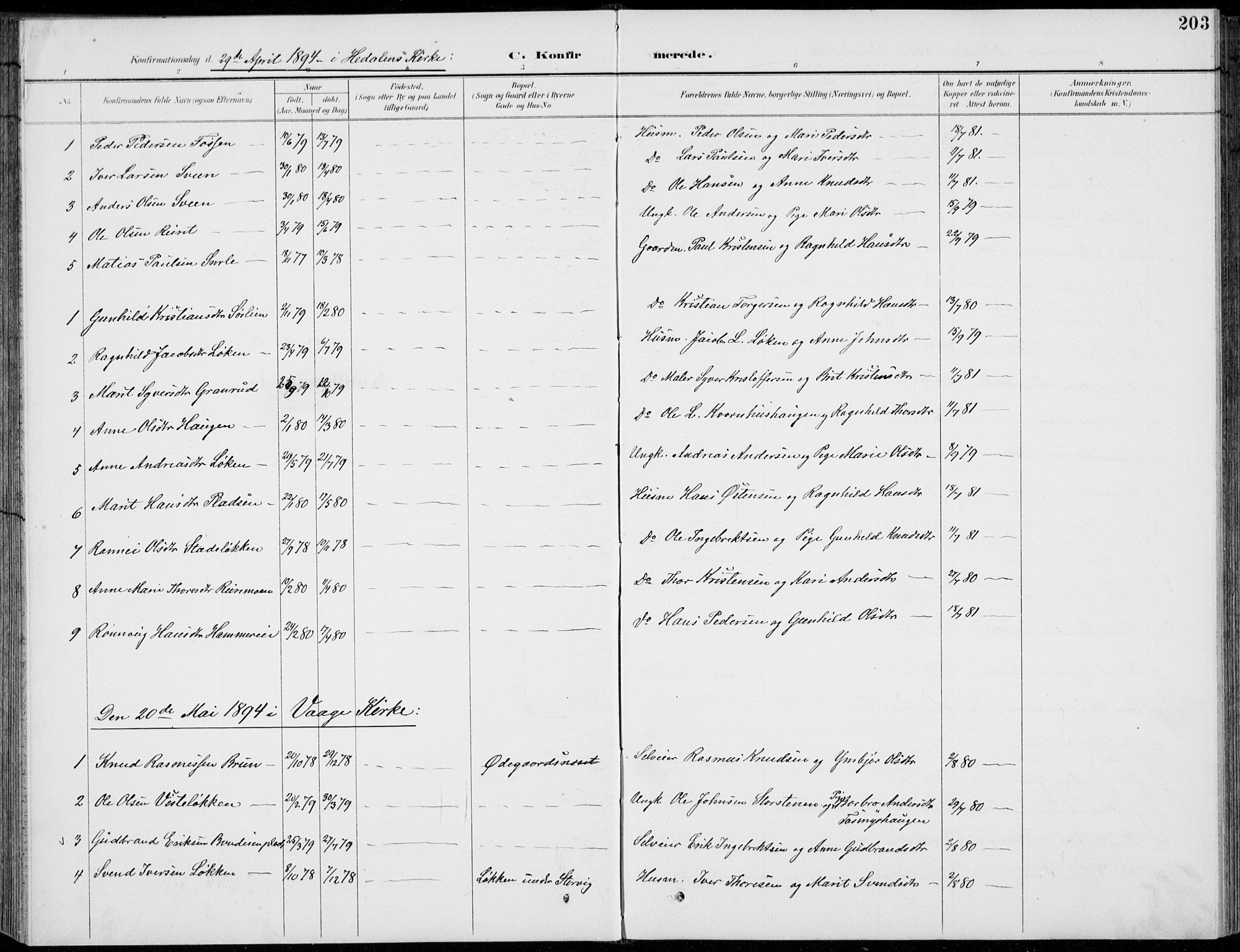 Vågå prestekontor, SAH/PREST-076/H/Ha/Hab/L0002: Parish register (copy) no. 2, 1894-1939, p. 203