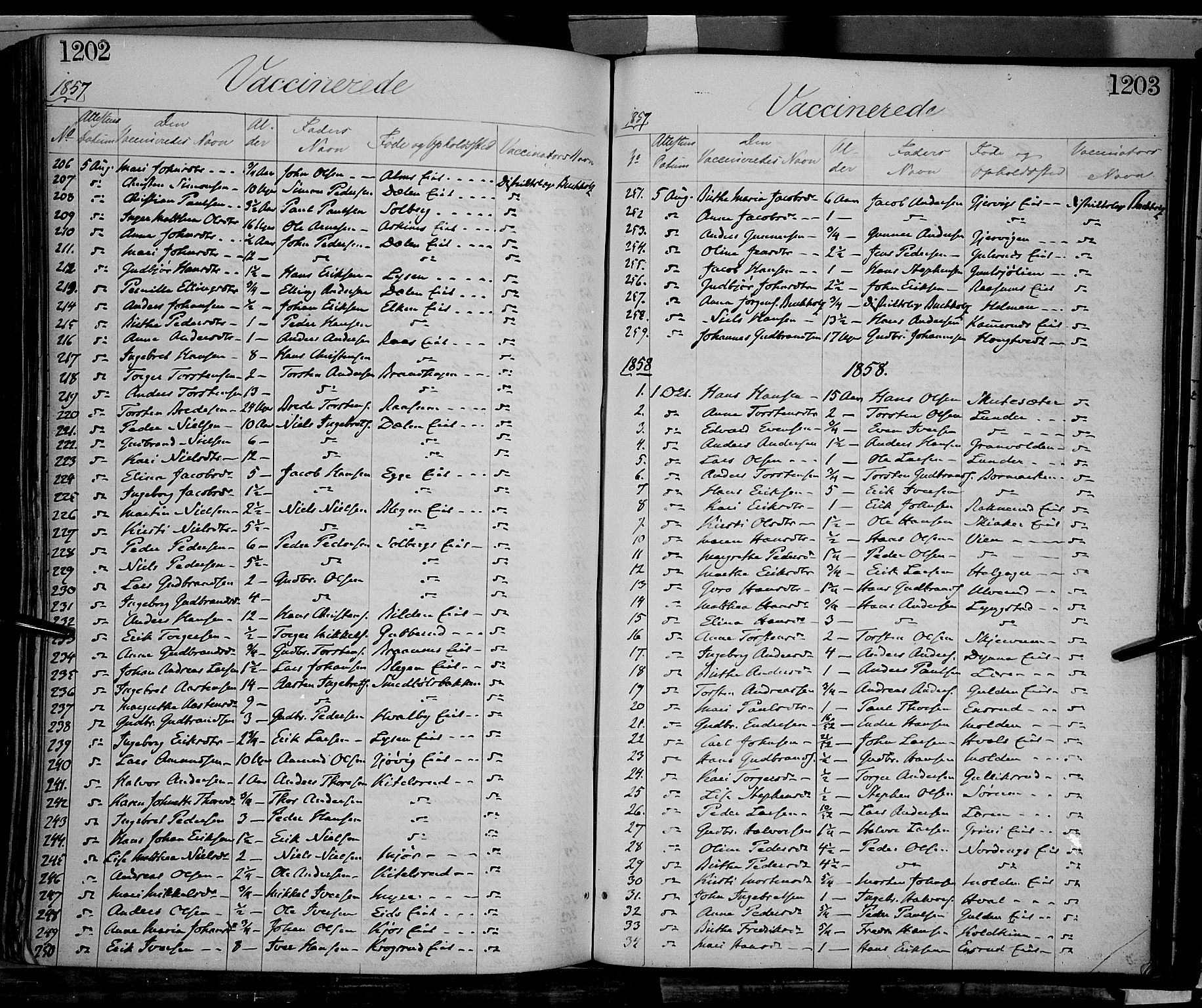 Gran prestekontor, SAH/PREST-112/H/Ha/Haa/L0012: Parish register (official) no. 12, 1856-1874, p. 1202-1203