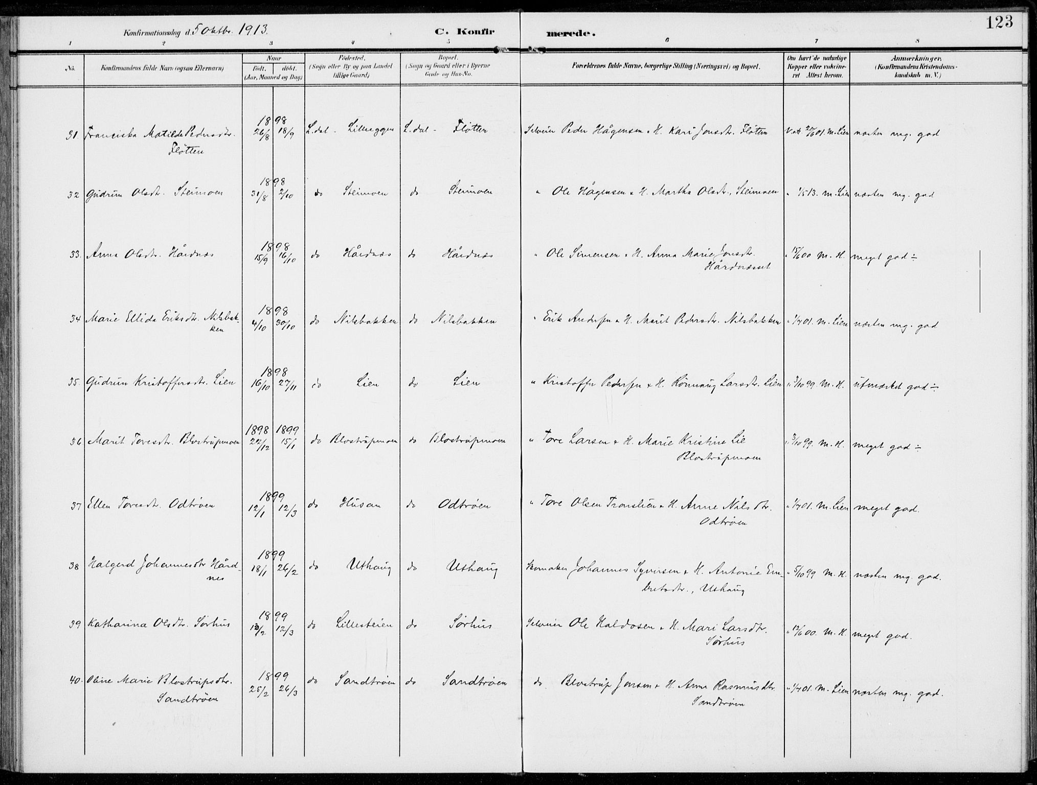 Alvdal prestekontor, AV/SAH-PREST-060/H/Ha/Haa/L0004: Parish register (official) no. 4, 1907-1919, p. 123