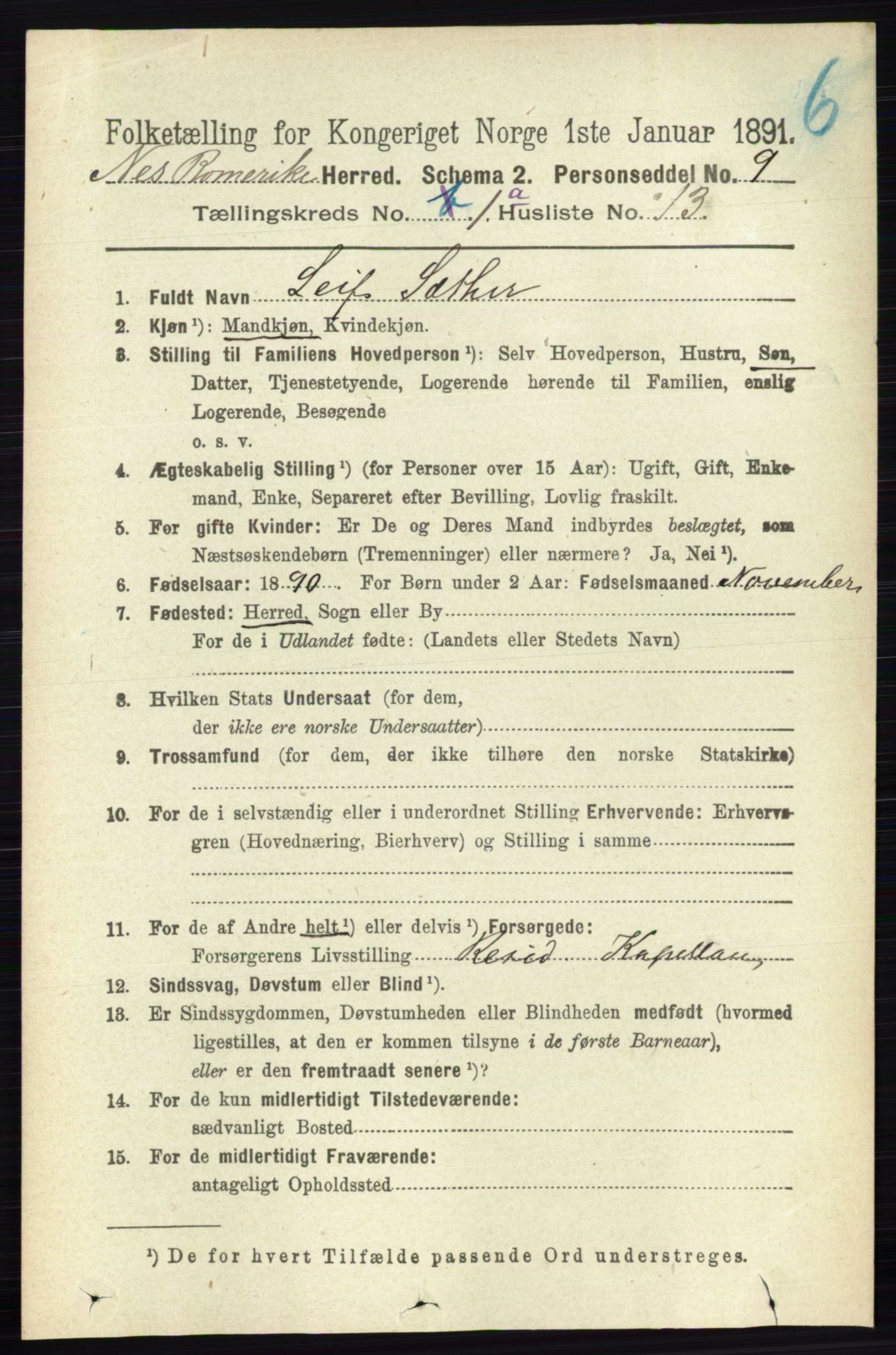 RA, 1891 census for 0236 Nes, 1891, p. 194