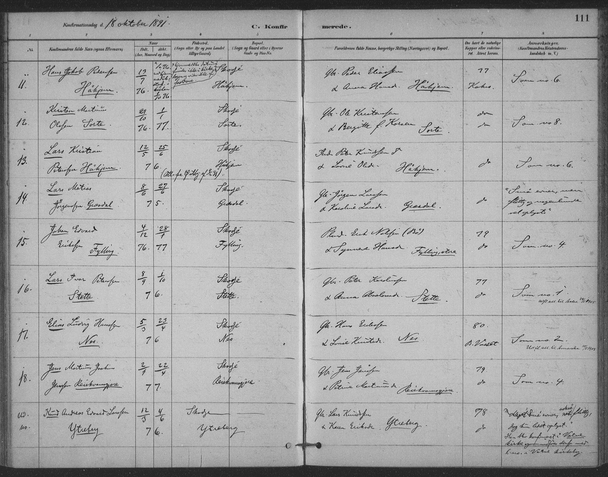 Ministerialprotokoller, klokkerbøker og fødselsregistre - Møre og Romsdal, AV/SAT-A-1454/524/L0356: Parish register (official) no. 524A08, 1880-1899, p. 111