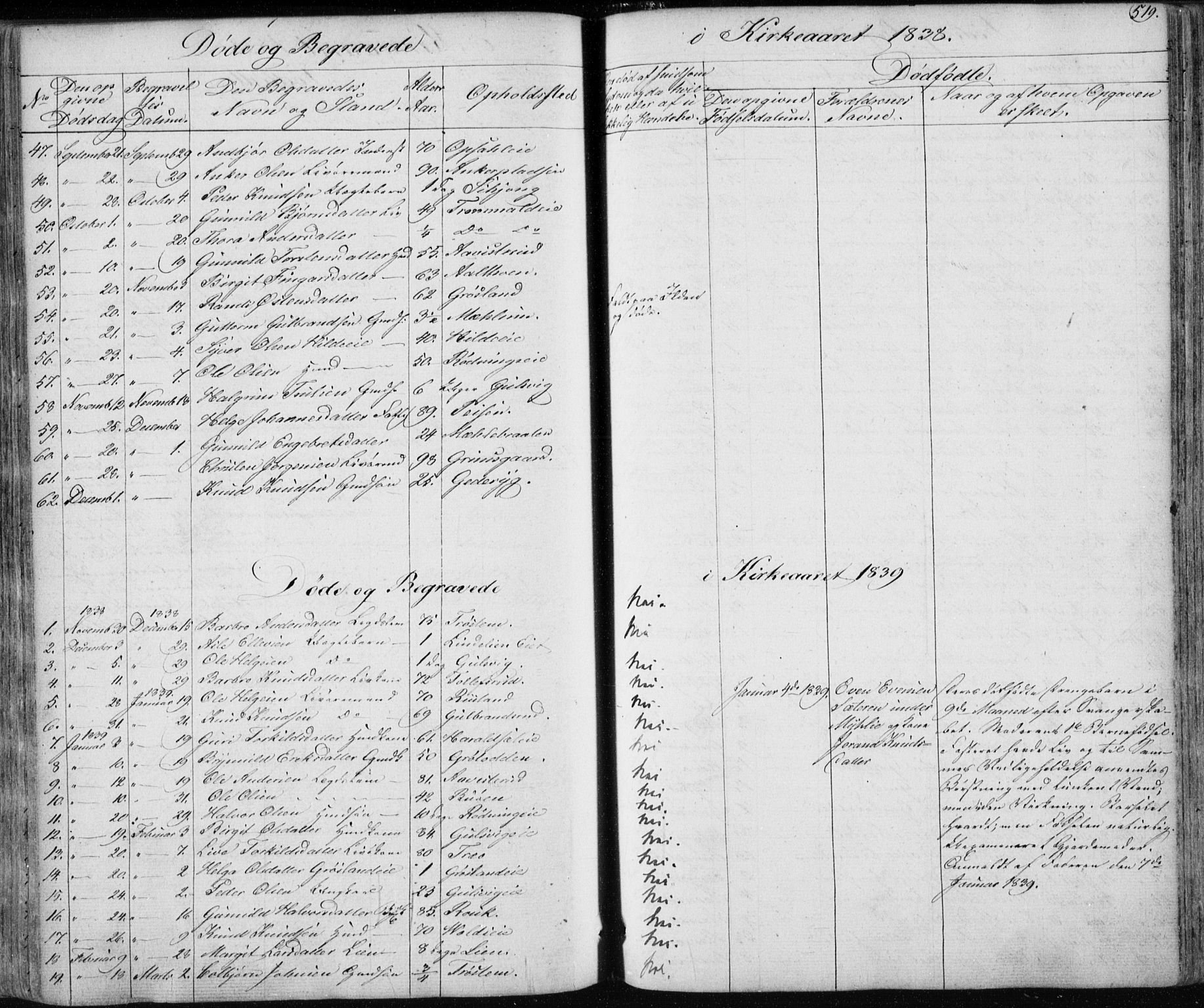 Nes kirkebøker, SAKO/A-236/F/Fa/L0009: Parish register (official) no. 9, 1834-1863, p. 519