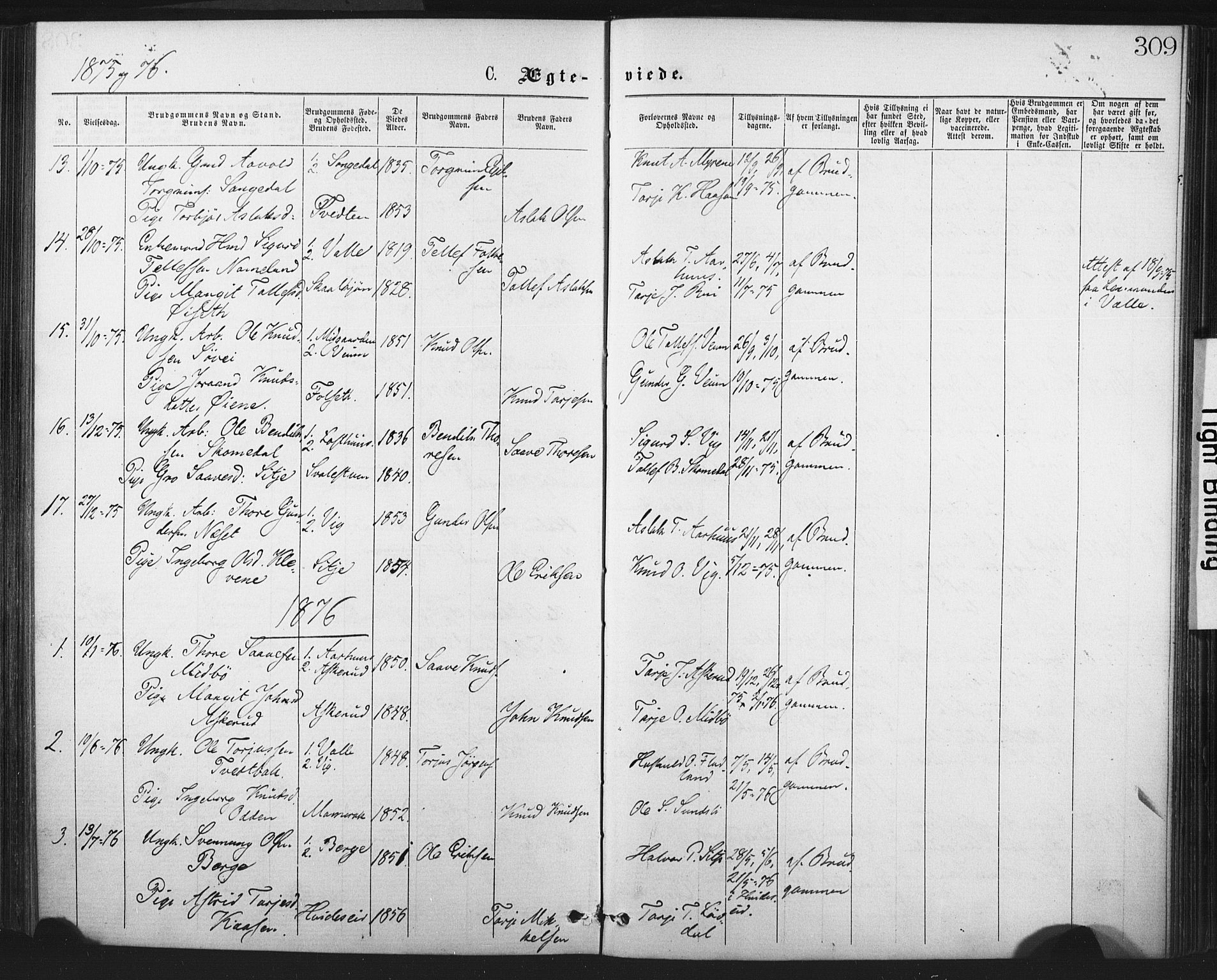 Fyresdal kirkebøker, SAKO/A-263/F/Fa/L0006: Parish register (official) no. I 6, 1872-1886, p. 309