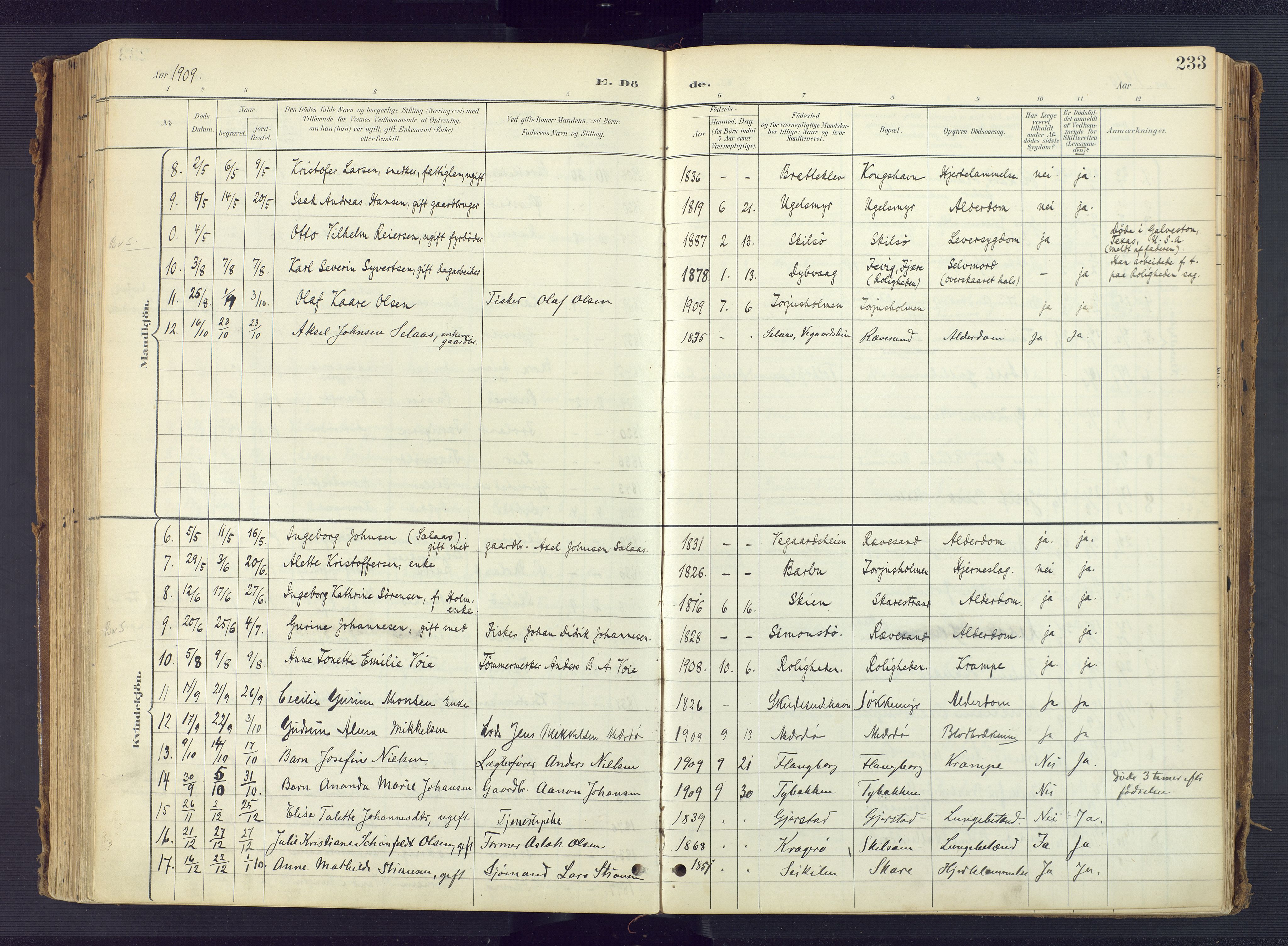 Tromøy sokneprestkontor, AV/SAK-1111-0041/F/Fa/L0010: Parish register (official) no. A 10, 1896-1912, p. 233