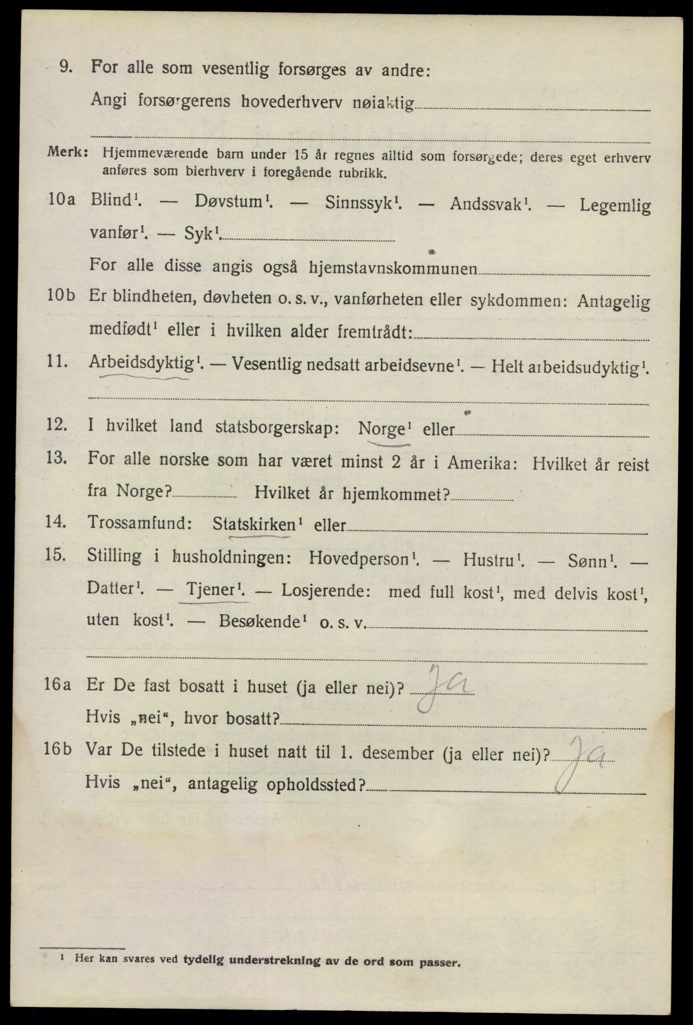 SAO, 1920 census for Nes, 1920, p. 21939