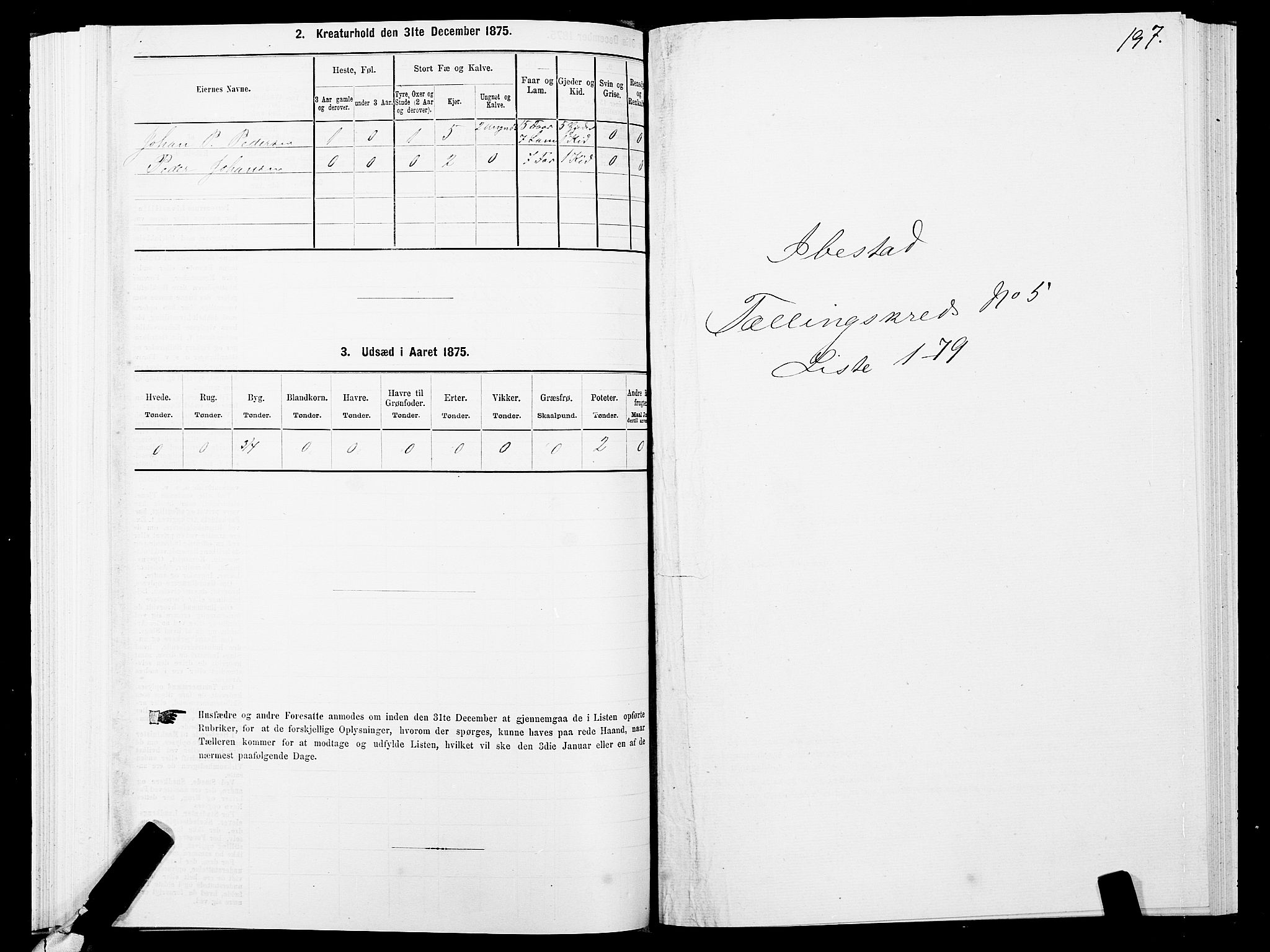 SATØ, 1875 census for 1917P Ibestad, 1875, p. 3197