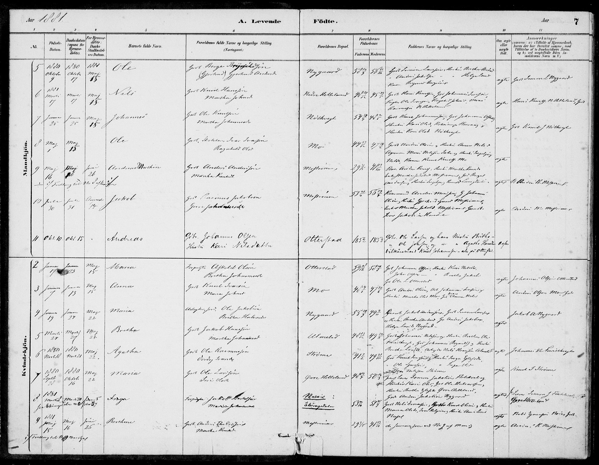 Hosanger sokneprestembete, SAB/A-75801/H/Haa: Parish register (official) no. C  1, 1880-1900, p. 7