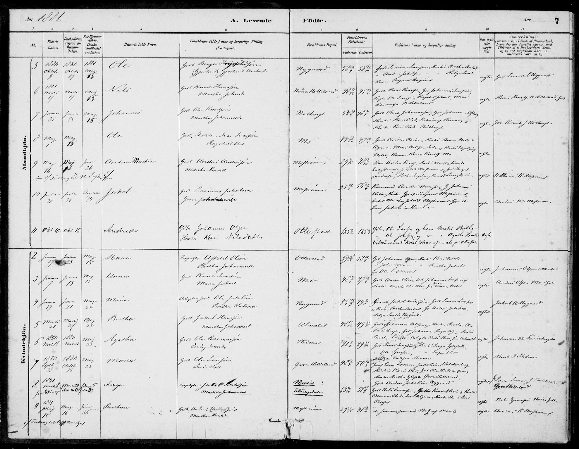 Hosanger sokneprestembete, AV/SAB-A-75801/H/Haa: Parish register (official) no. C  1, 1880-1900, p. 7