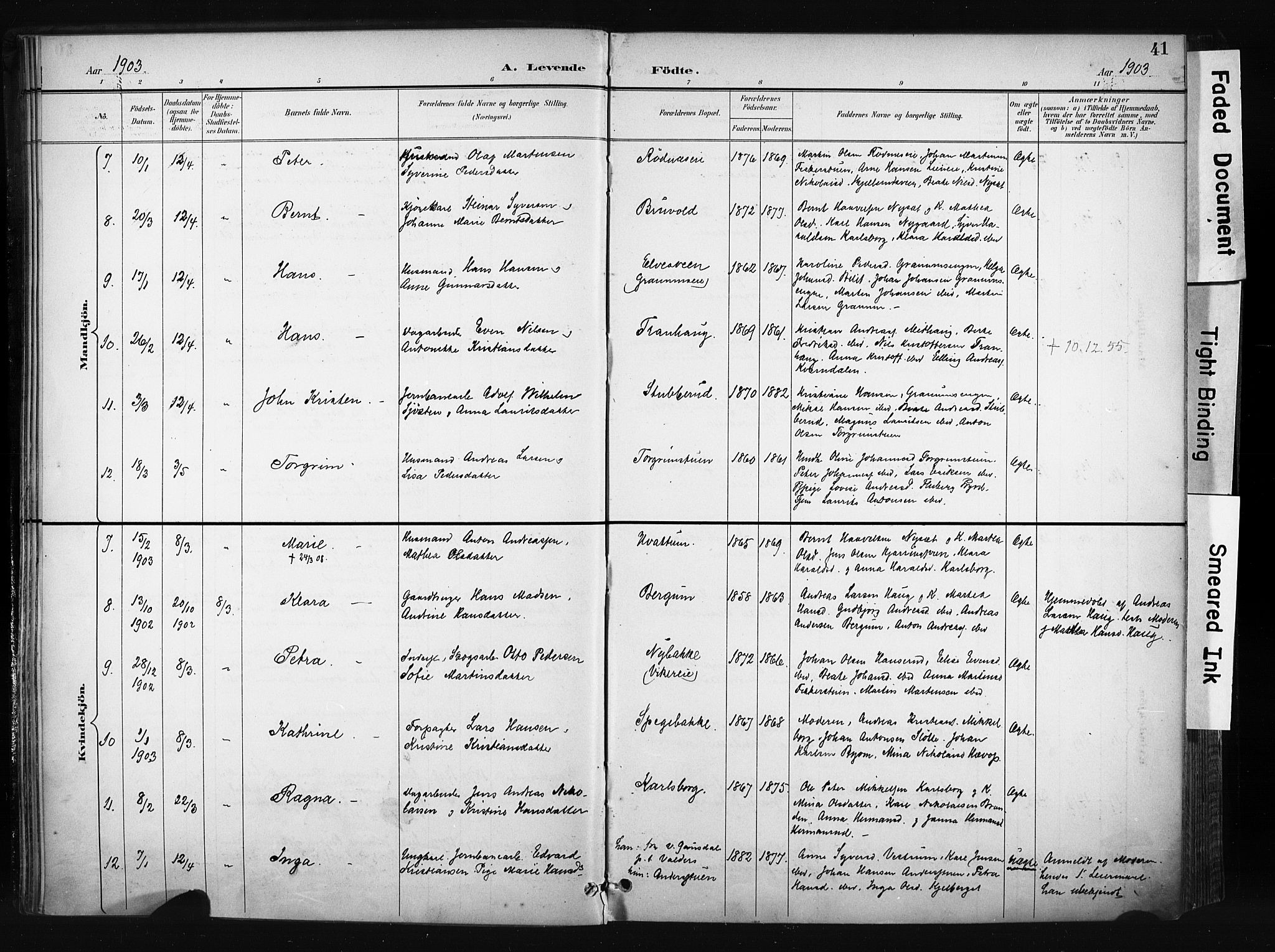 Søndre Land prestekontor, AV/SAH-PREST-122/K/L0004: Parish register (official) no. 4, 1895-1904, p. 41