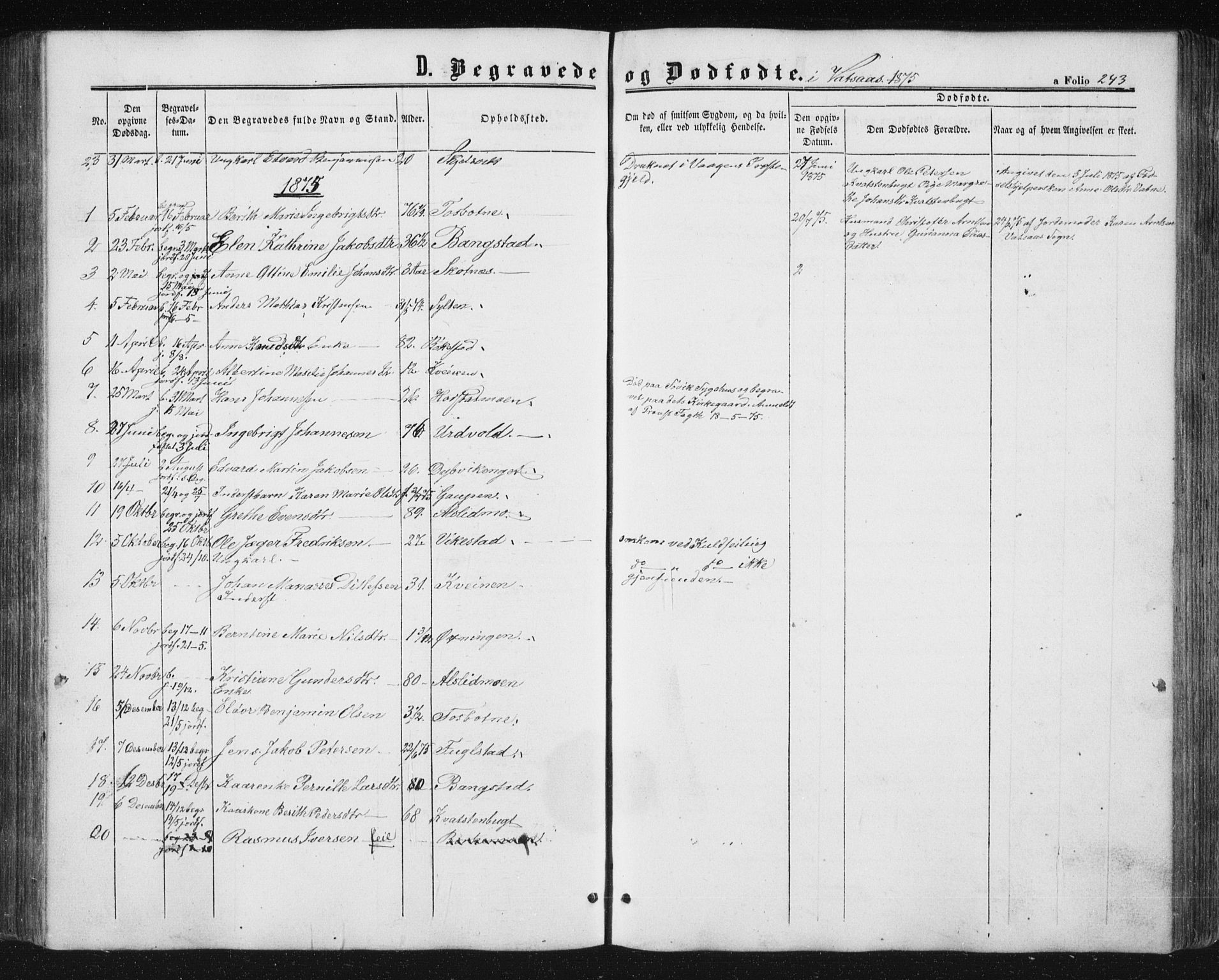 Ministerialprotokoller, klokkerbøker og fødselsregistre - Nordland, AV/SAT-A-1459/810/L0158: Parish register (copy) no. 810C02 /1, 1863-1883, p. 243