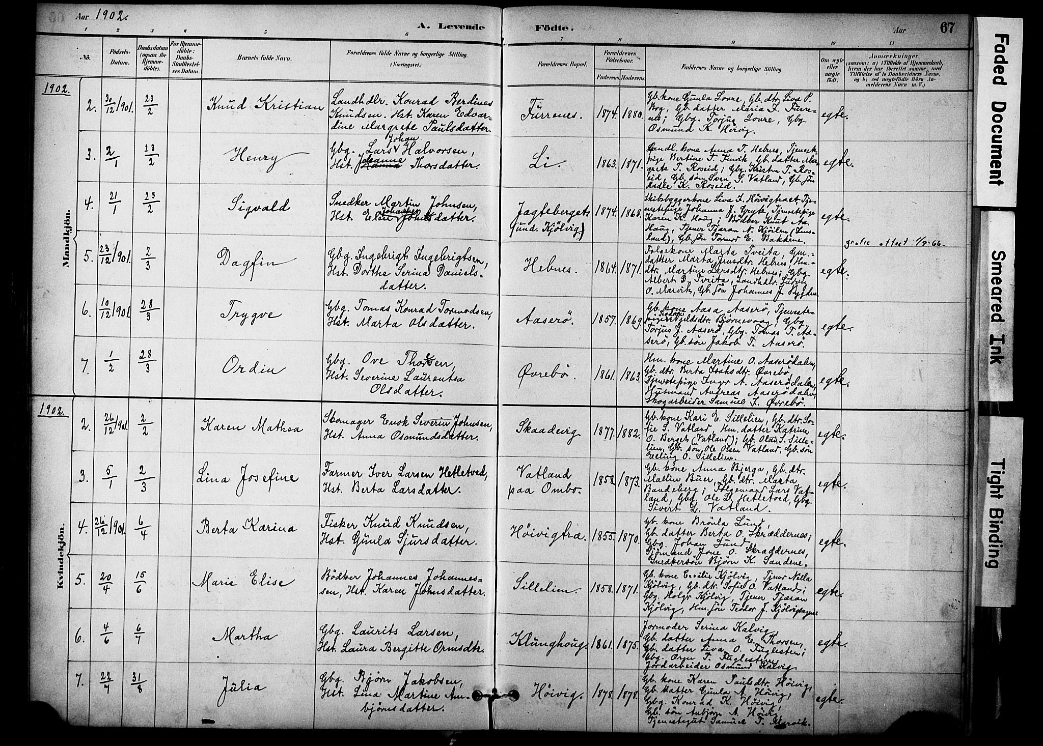 Jelsa sokneprestkontor, AV/SAST-A-101842/01/IV: Parish register (official) no. A 10, 1884-1906, p. 67