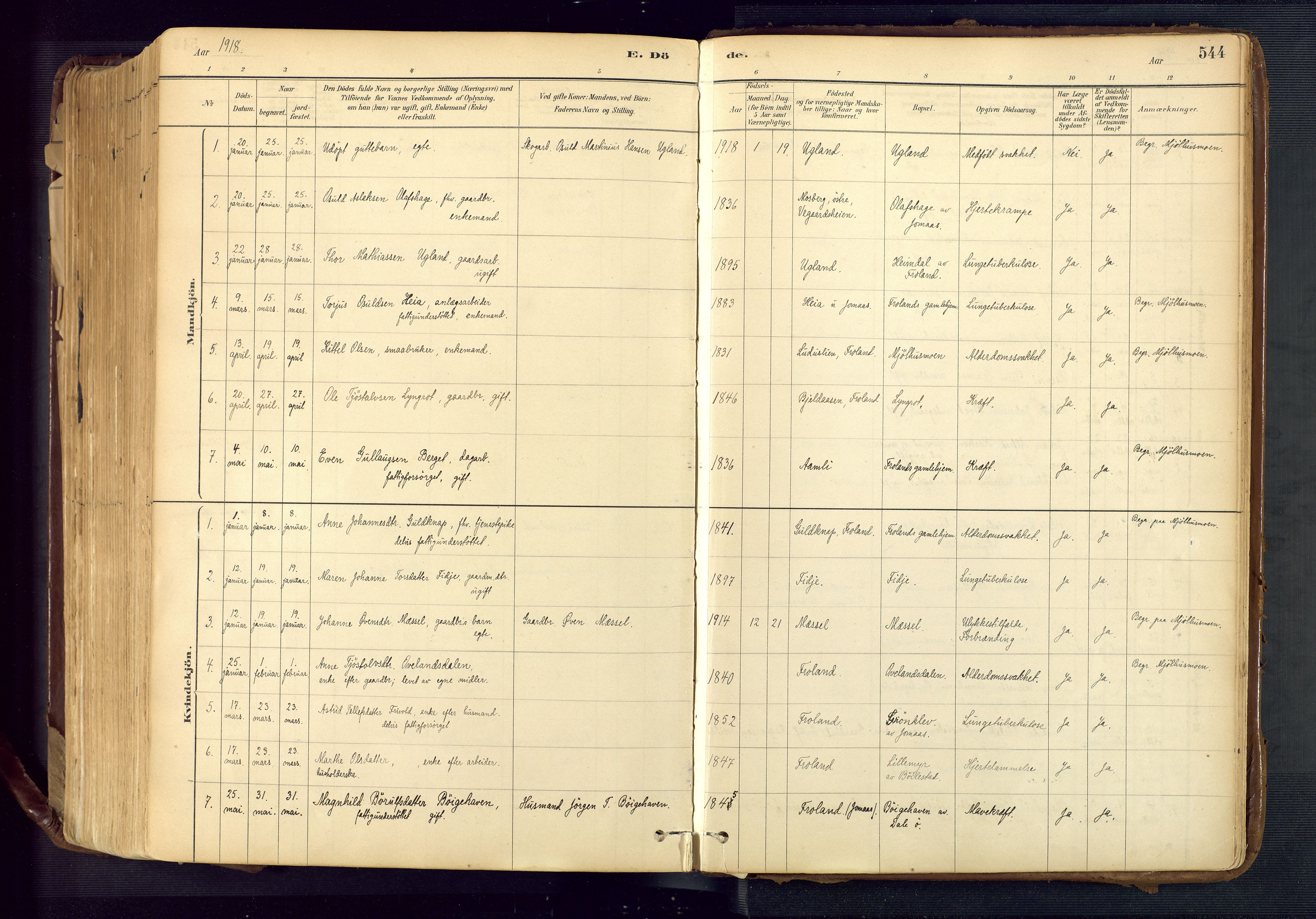 Froland sokneprestkontor, SAK/1111-0013/F/Fa/L0005: Parish register (official) no. A 5, 1882-1921, p. 544
