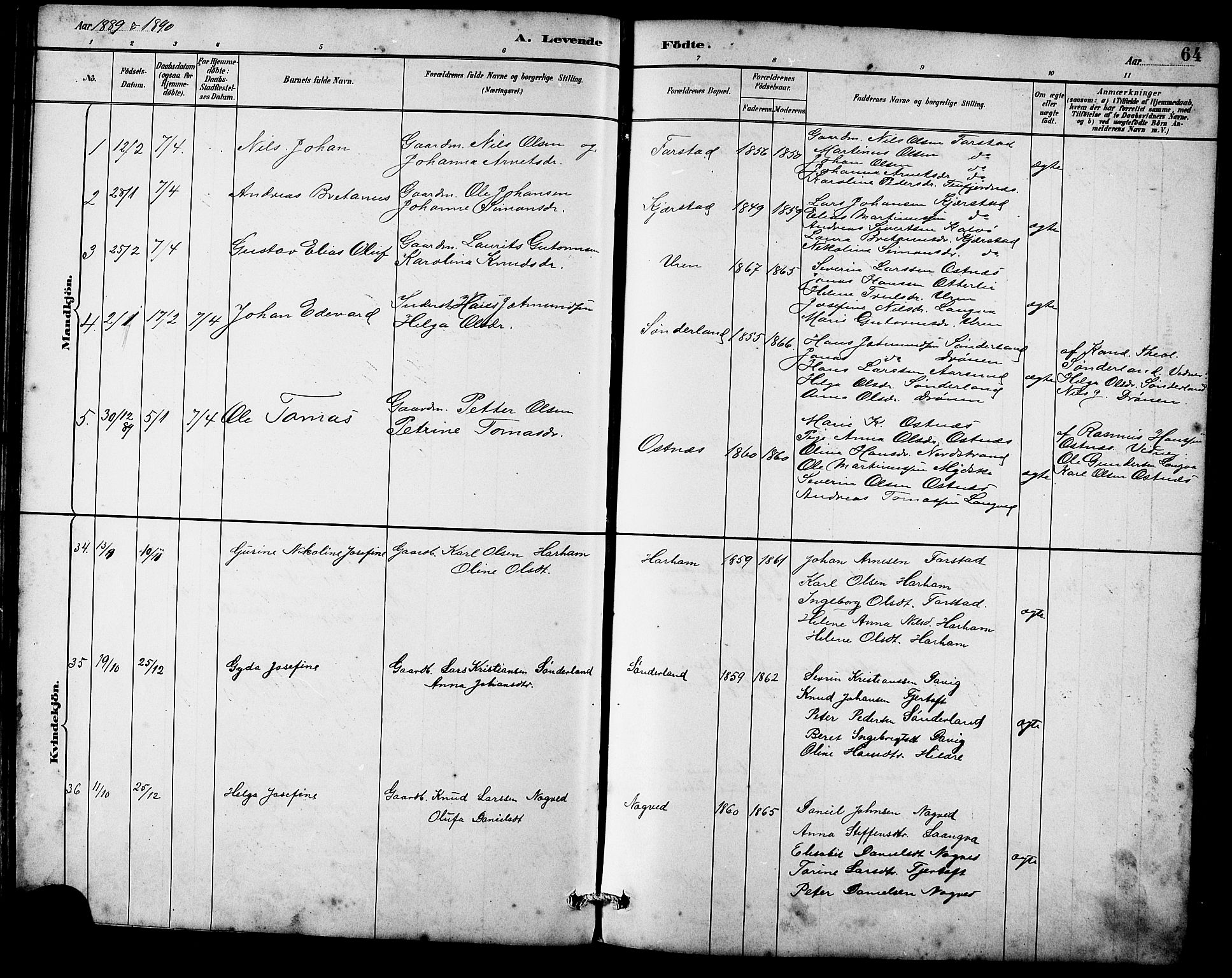 Ministerialprotokoller, klokkerbøker og fødselsregistre - Møre og Romsdal, SAT/A-1454/536/L0510: Parish register (copy) no. 536C05, 1881-1898, p. 64