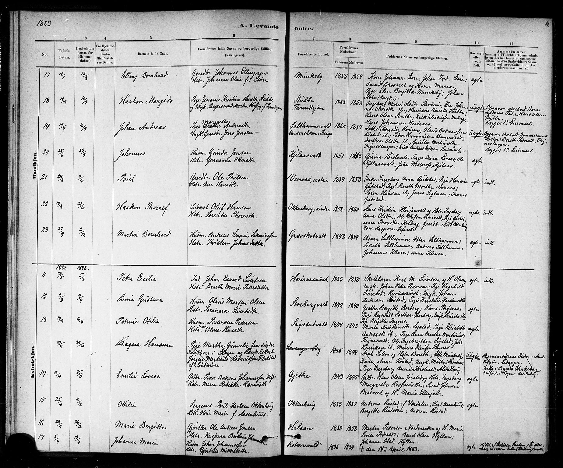 Ministerialprotokoller, klokkerbøker og fødselsregistre - Nord-Trøndelag, SAT/A-1458/721/L0208: Parish register (copy) no. 721C01, 1880-1917, p. 14