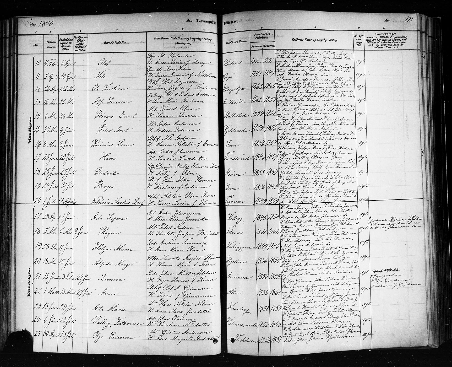 Nøtterøy kirkebøker, SAKO/A-354/F/Fa/L0008: Parish register (official) no. I 8, 1878-1893, p. 121