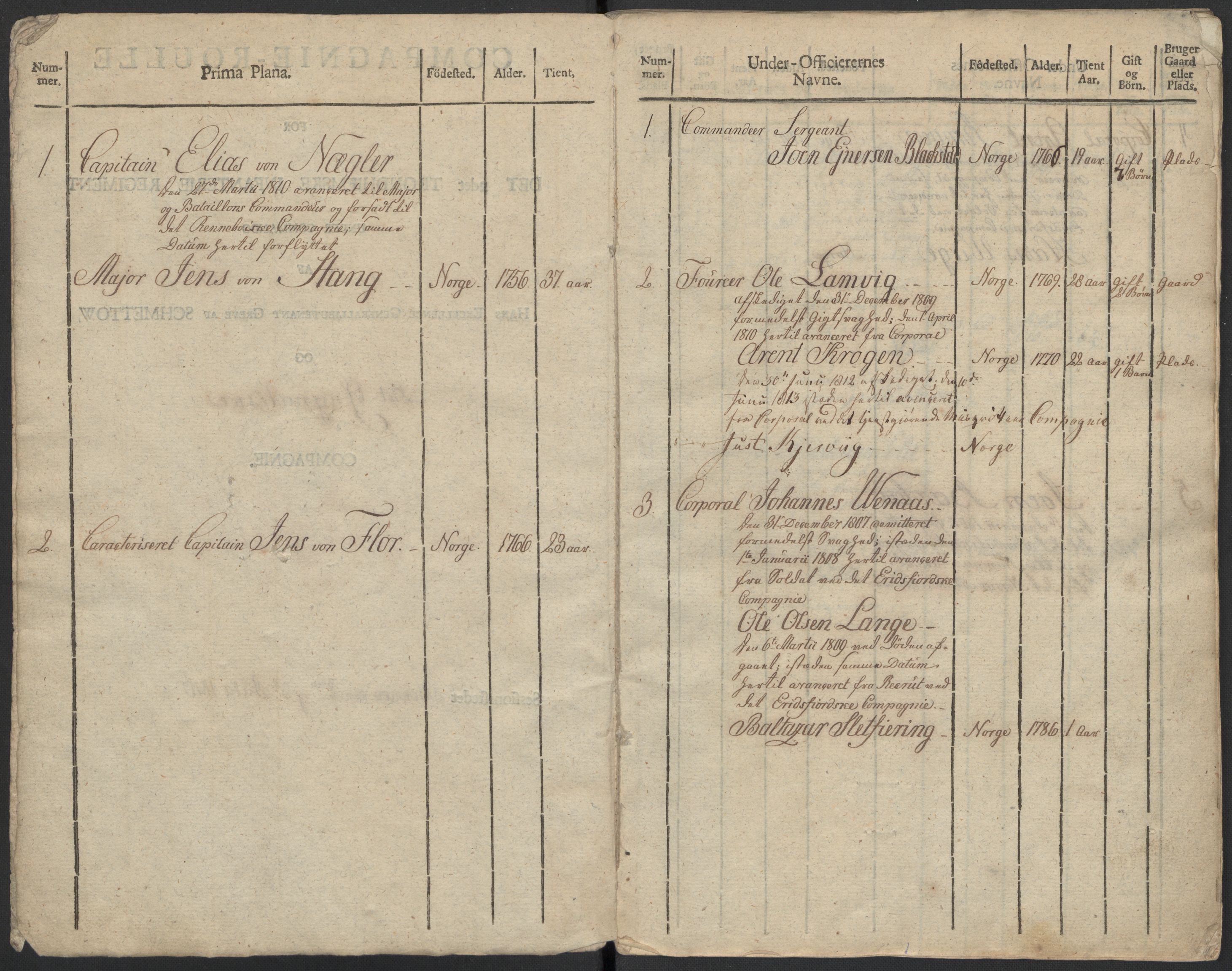 Generalitets- og kommissariatskollegiet, Det kongelige norske kommissariatskollegium, AV/RA-EA-5420/E/Eh/L0083b: 2. Trondheimske nasjonale infanteriregiment, 1810, p. 341